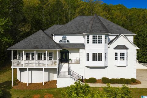 10 ANDERSON MTN DRIVE ODENVILLE AL 35120