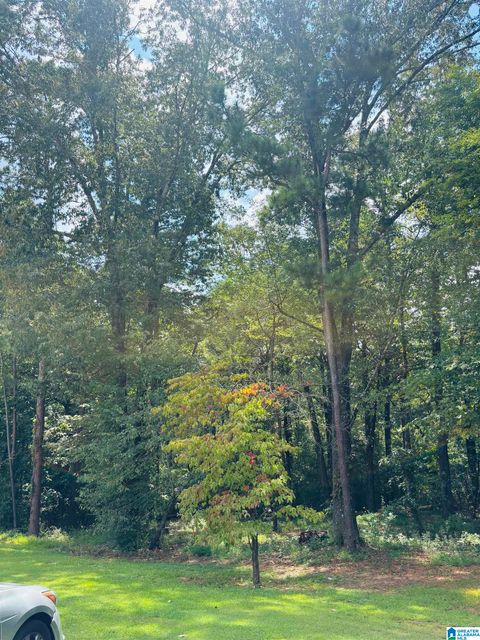 6215 MOUNTAIN RIDGE ROAD 4 TRUSSVILLE AL 35173