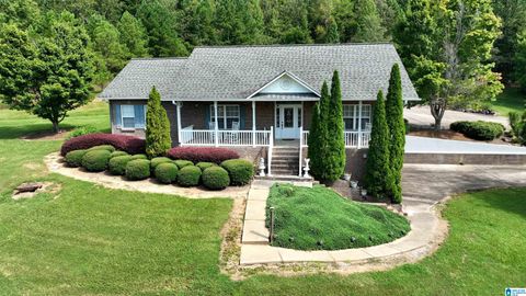 3941 SHOAL CREEK ROAD ASHVILLE AL 35953