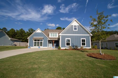 1875 BAXTER AVENUE SPRINGVILLE AL 35146