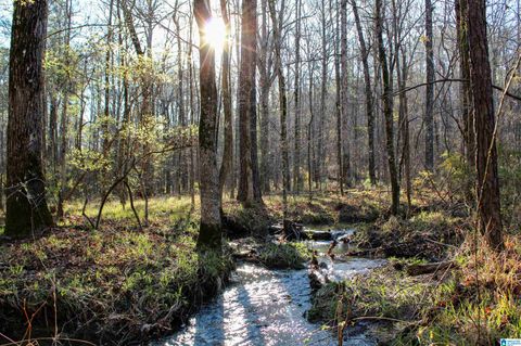 0 INDIAN GAP TRAIL 0 MCCALLA AL 35111