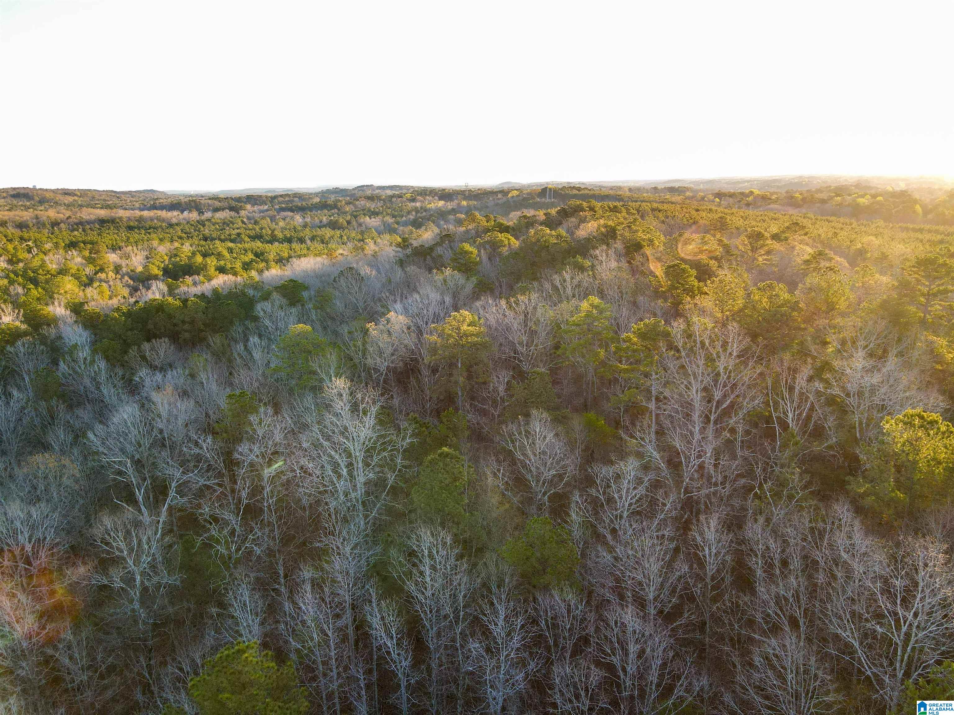 0 INDIAN GAP TRAIL 0