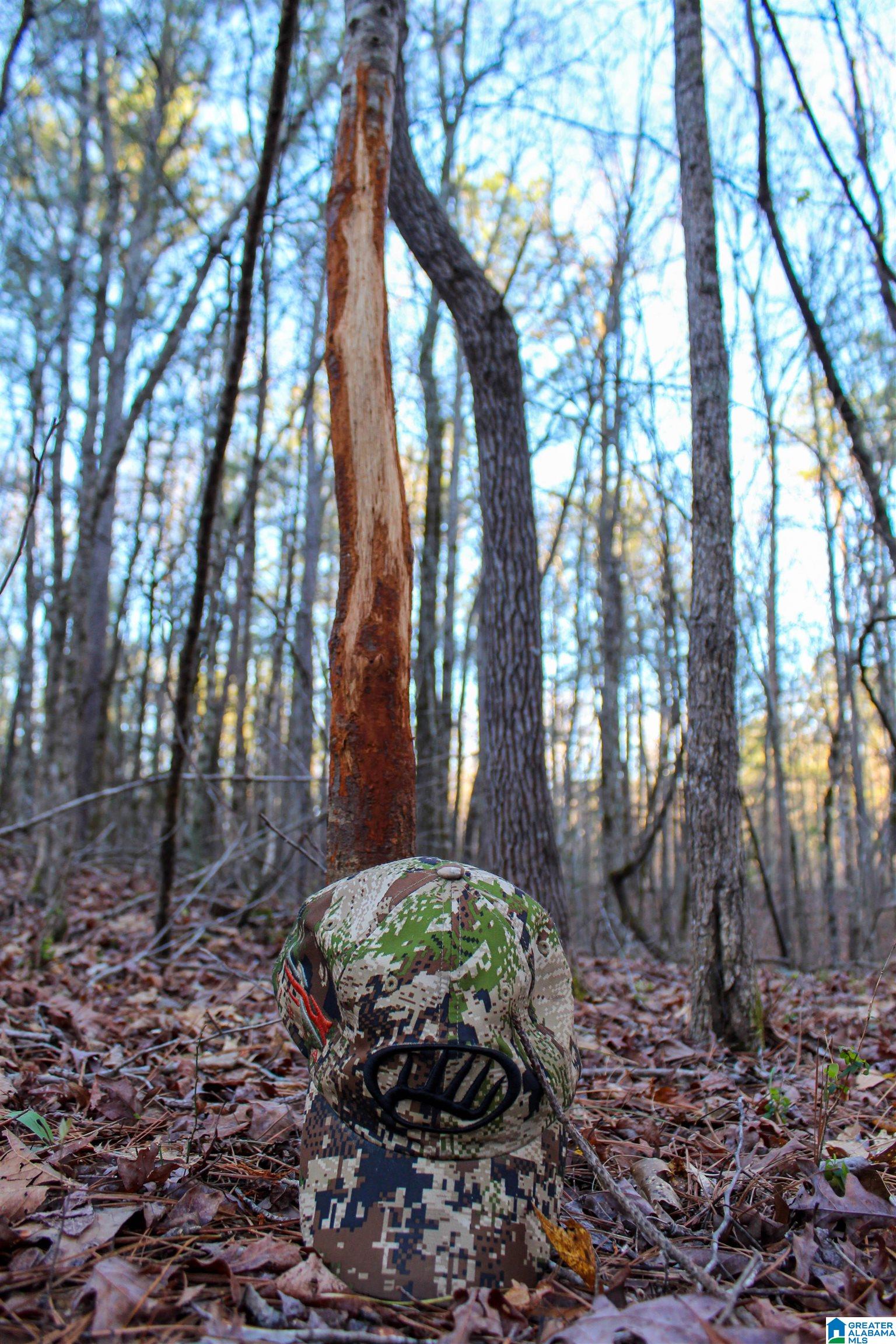 0 INDIAN GAP TRAIL 0