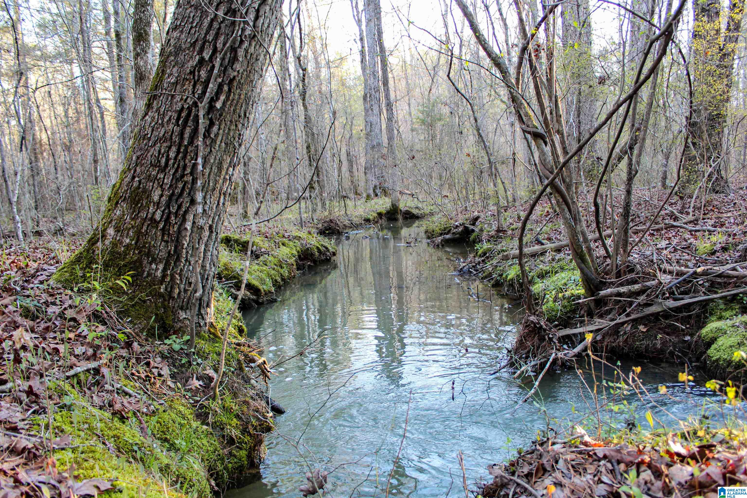 0 INDIAN GAP TRAIL 0