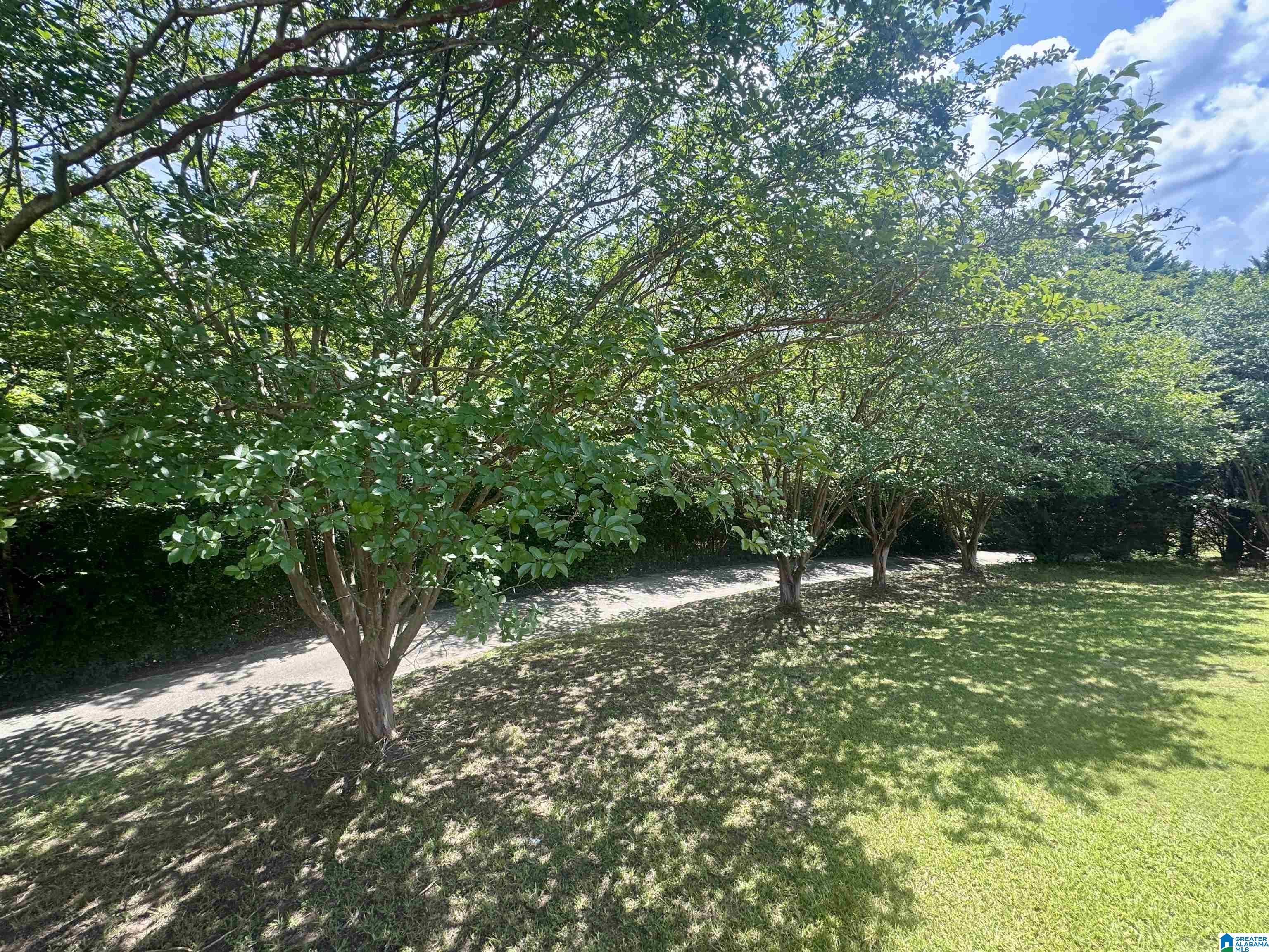 2380 RUSHING SPRINGS ROAD