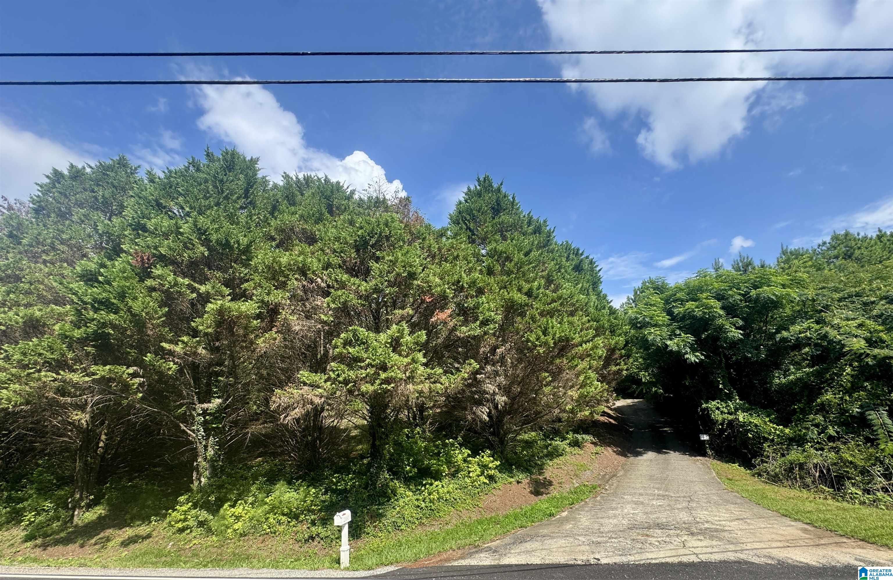 2380 RUSHING SPRINGS ROAD