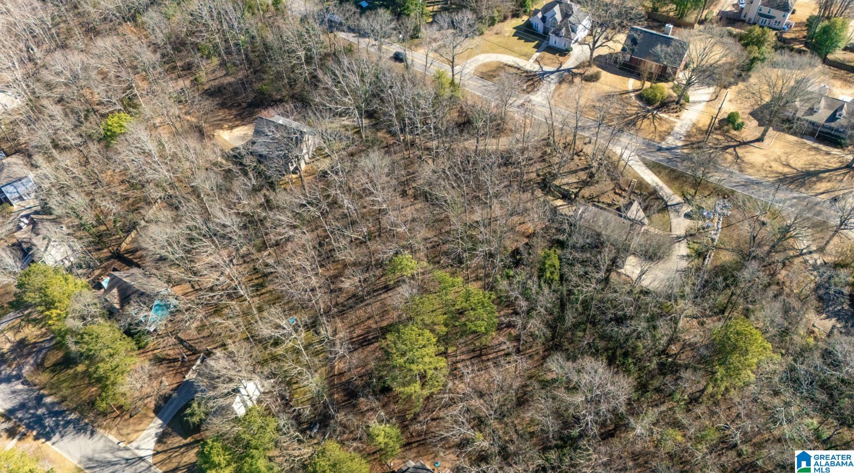 0 SOUTH SHADES CREST ROAD C-1