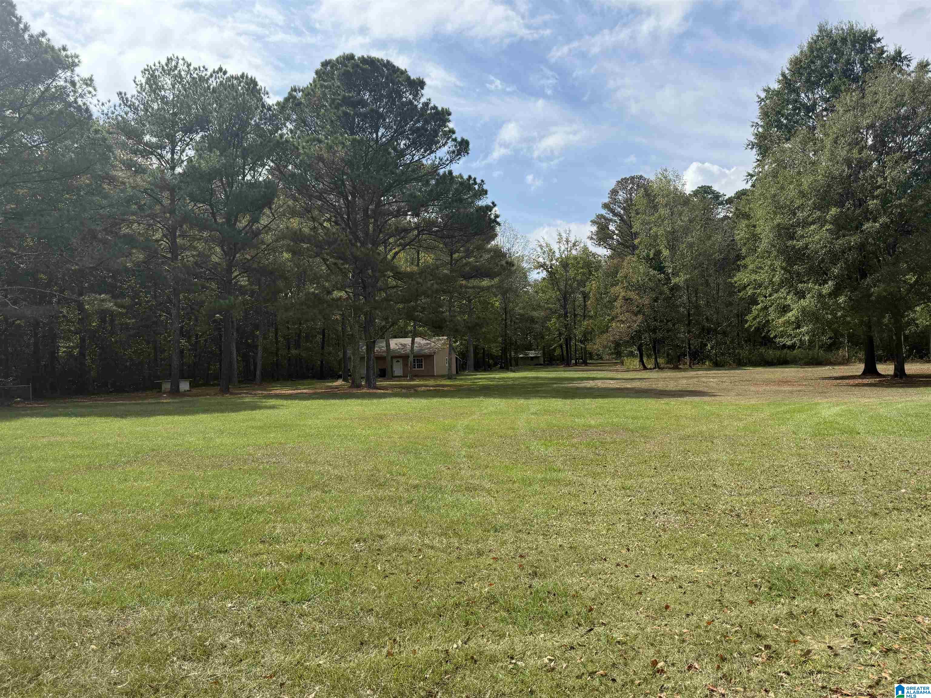 1301 PATTON ROAD