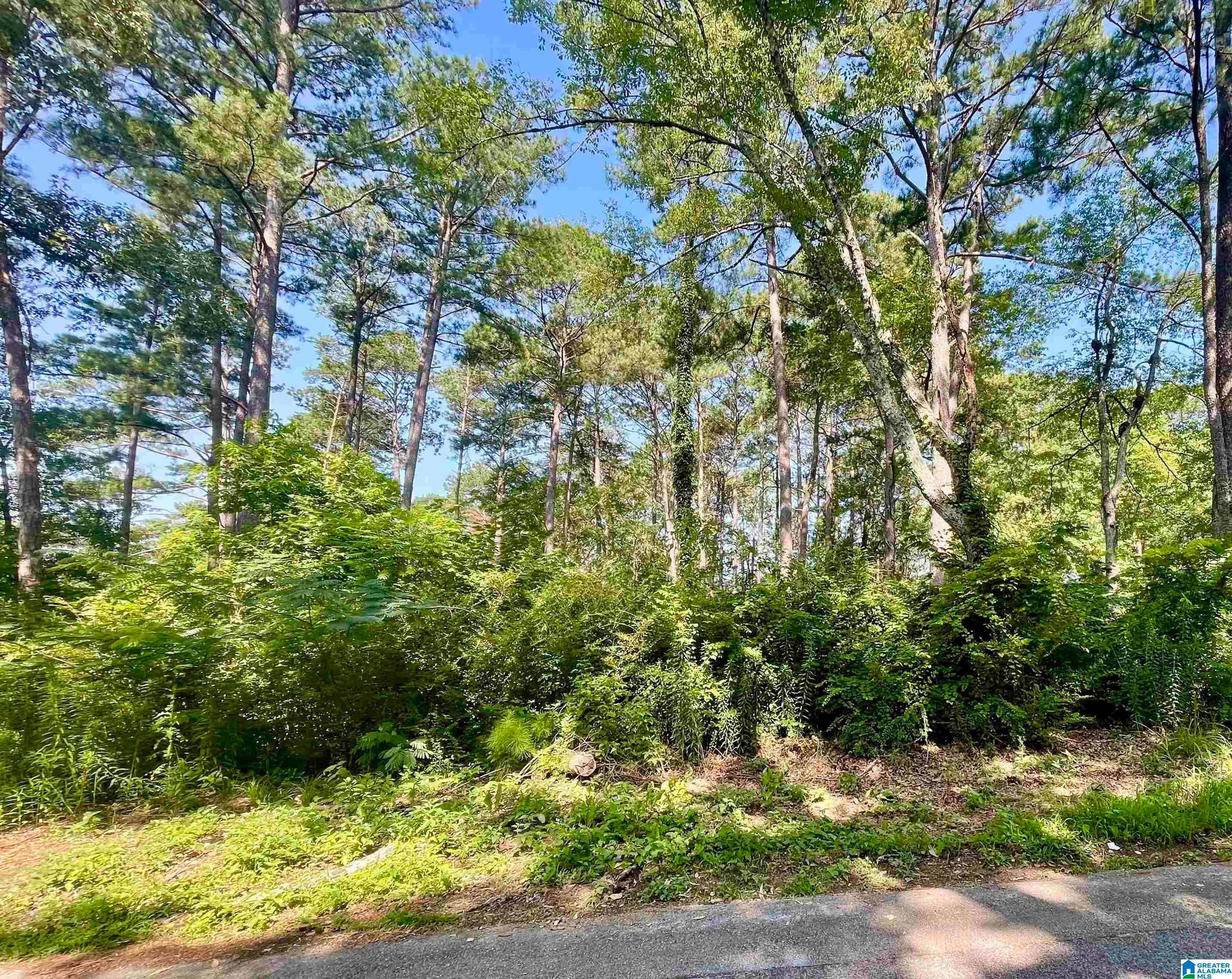 511 ALTADENA DRIVE 3