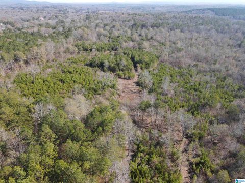 0 CUNNINGHAM LANE 0 EASTABOGA AL 36260