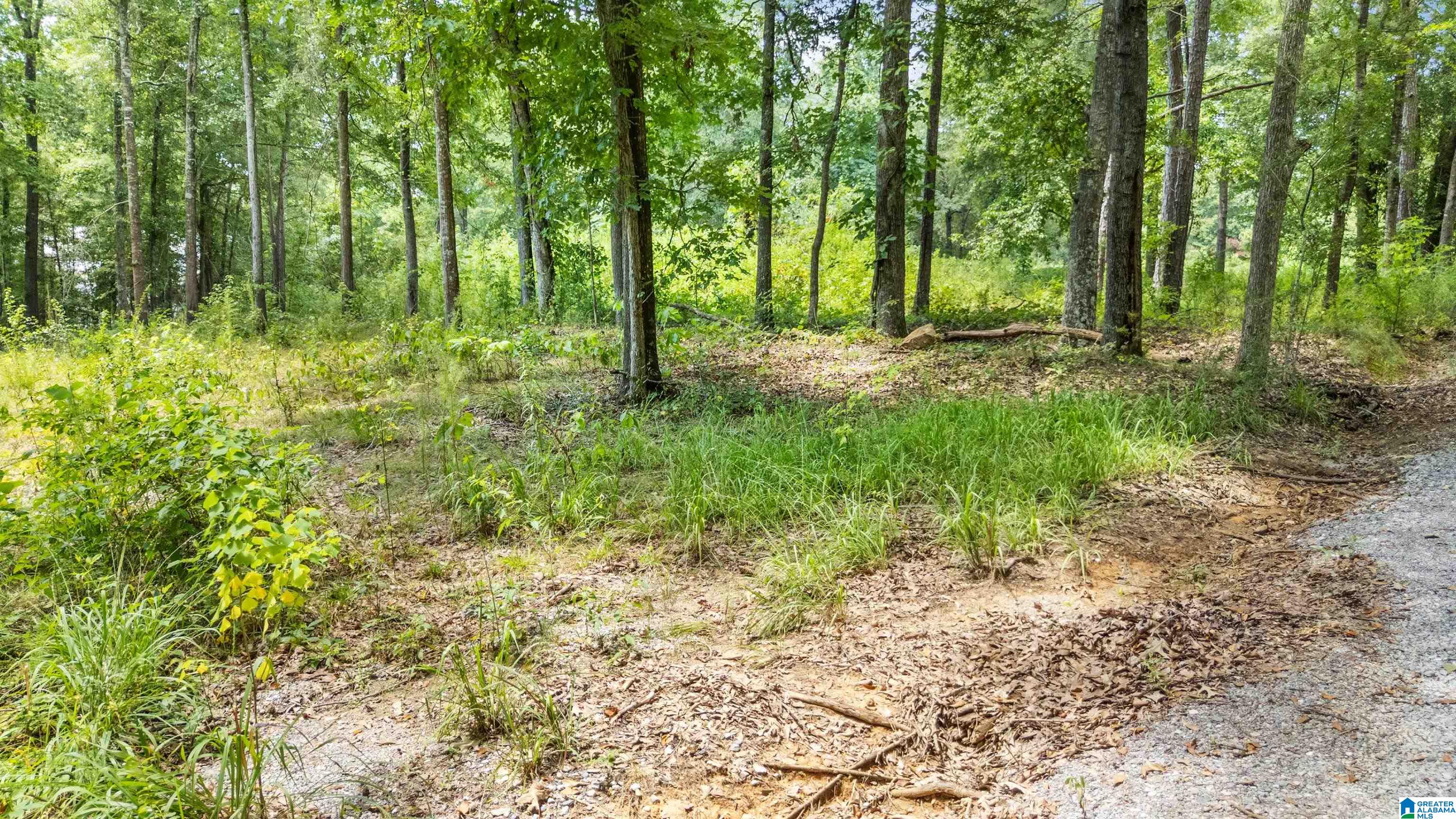 Lot 7A HEBB ROAD 7A - Photo 3