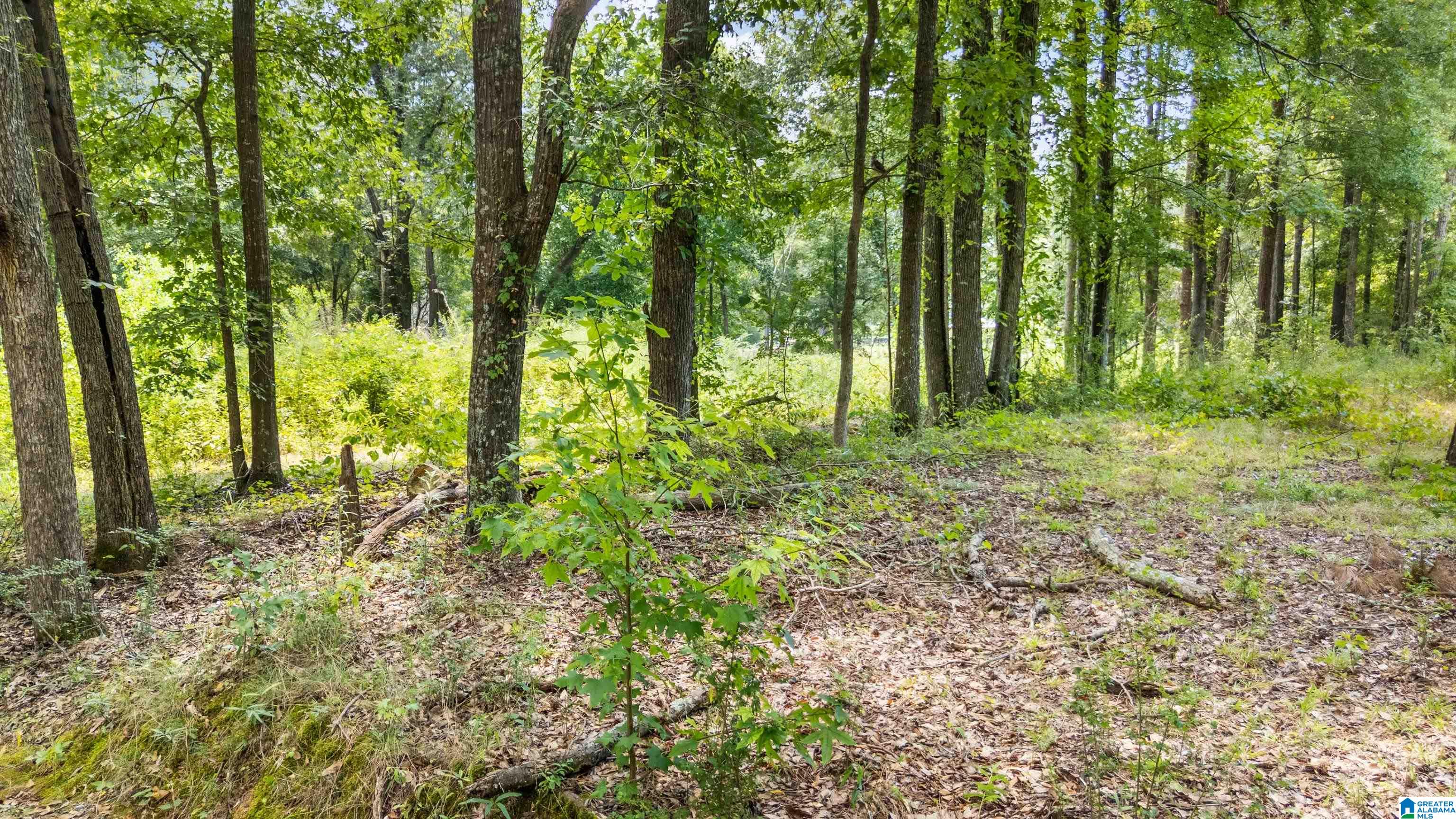 Lot 7A HEBB ROAD 7A - Photo 2