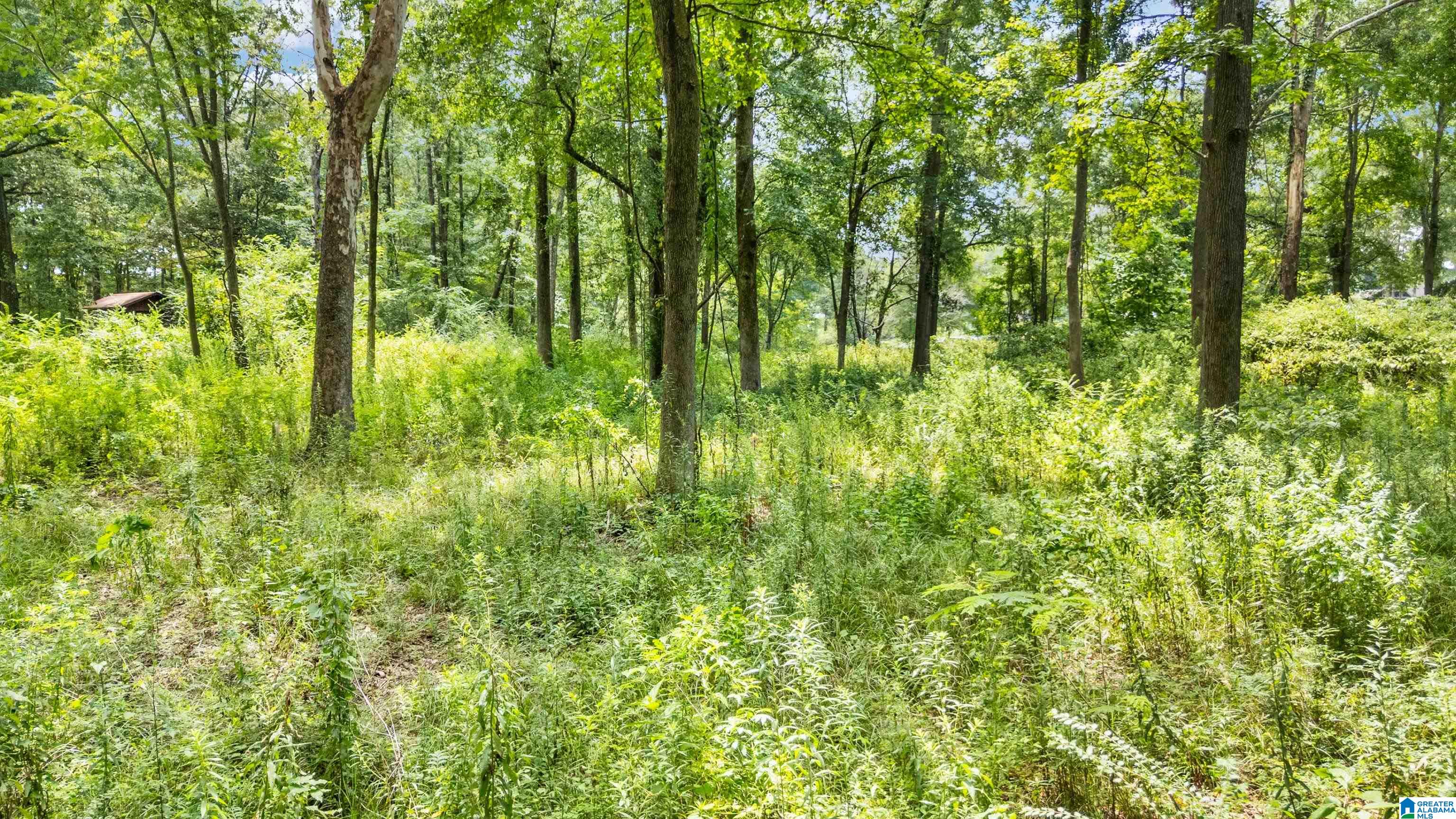 Lot 7A HEBB ROAD 7A - Photo 4