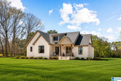 409 INDIANA AVENUE THORSBY AL 35171