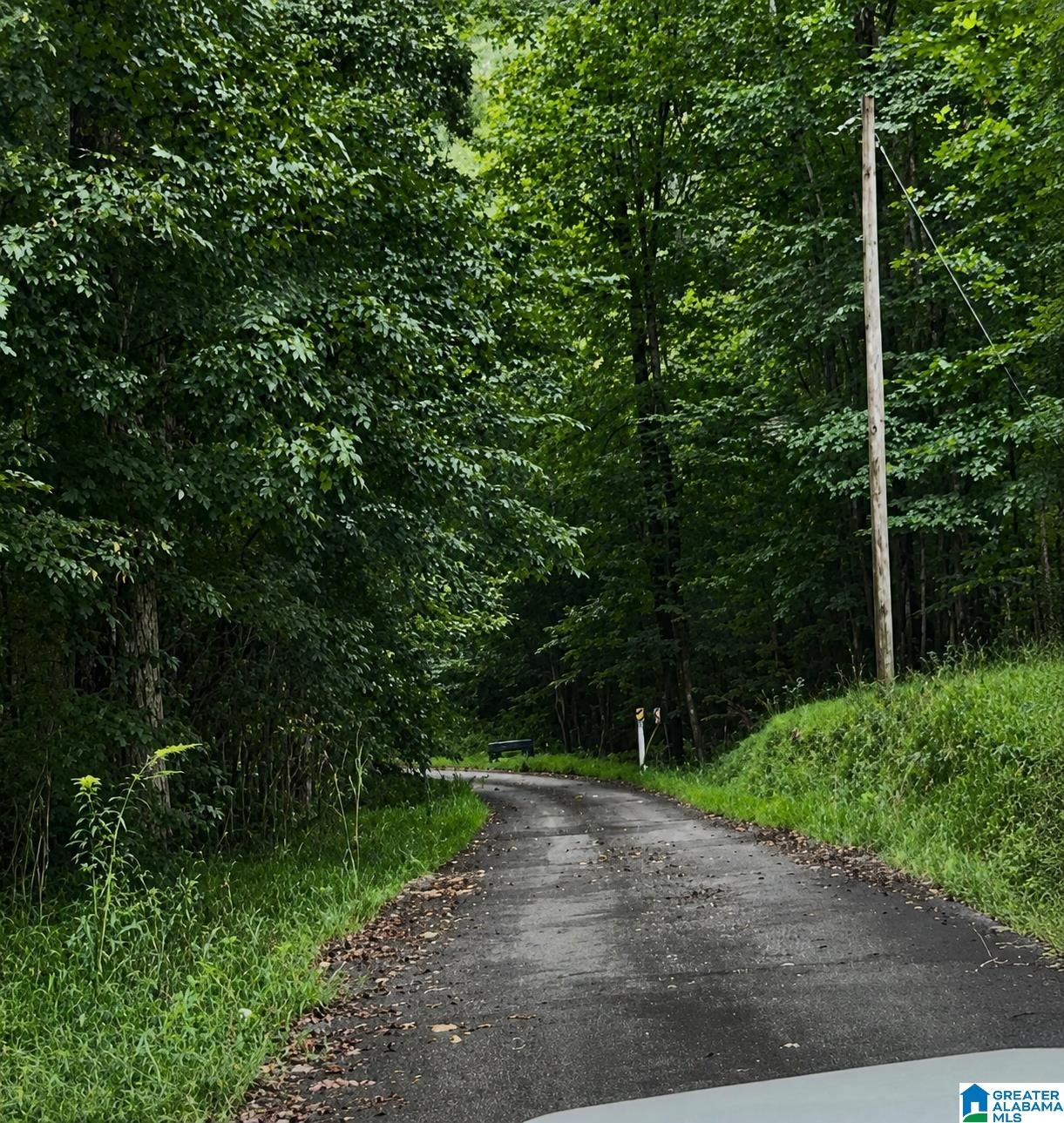18818 US HIGHWAY 411 18818 - Photo 4