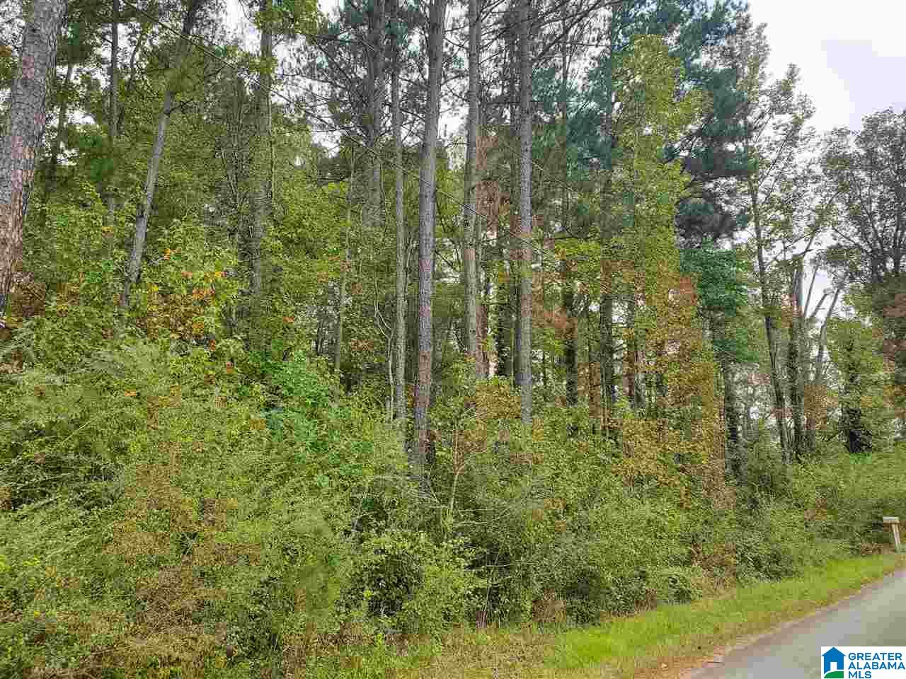 3784 HILLTOP ROAD 1