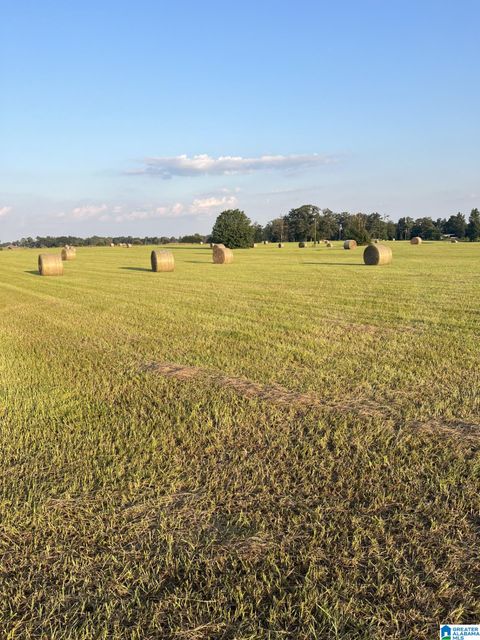 0 COUNTY ROAD 13 1 CLANTON AL 35045