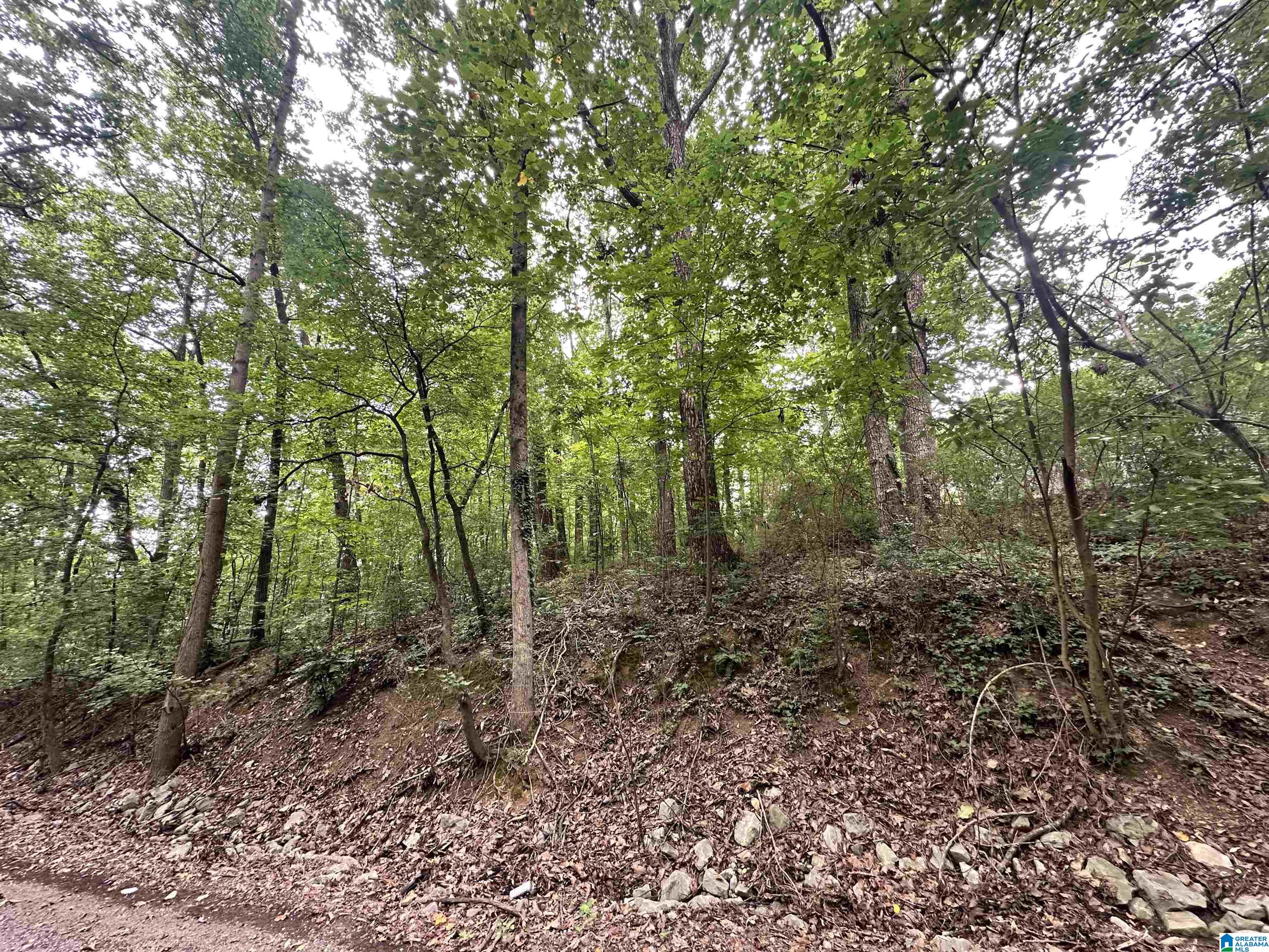 Photo 1 of 7 — LOT 24 OAKHILL DRIVE NW 24, CULLMAN, AL 35055