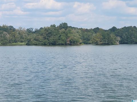 0 CHOCCOLOCCO CREEK ISLAND 1 LINCOLN AL 35044