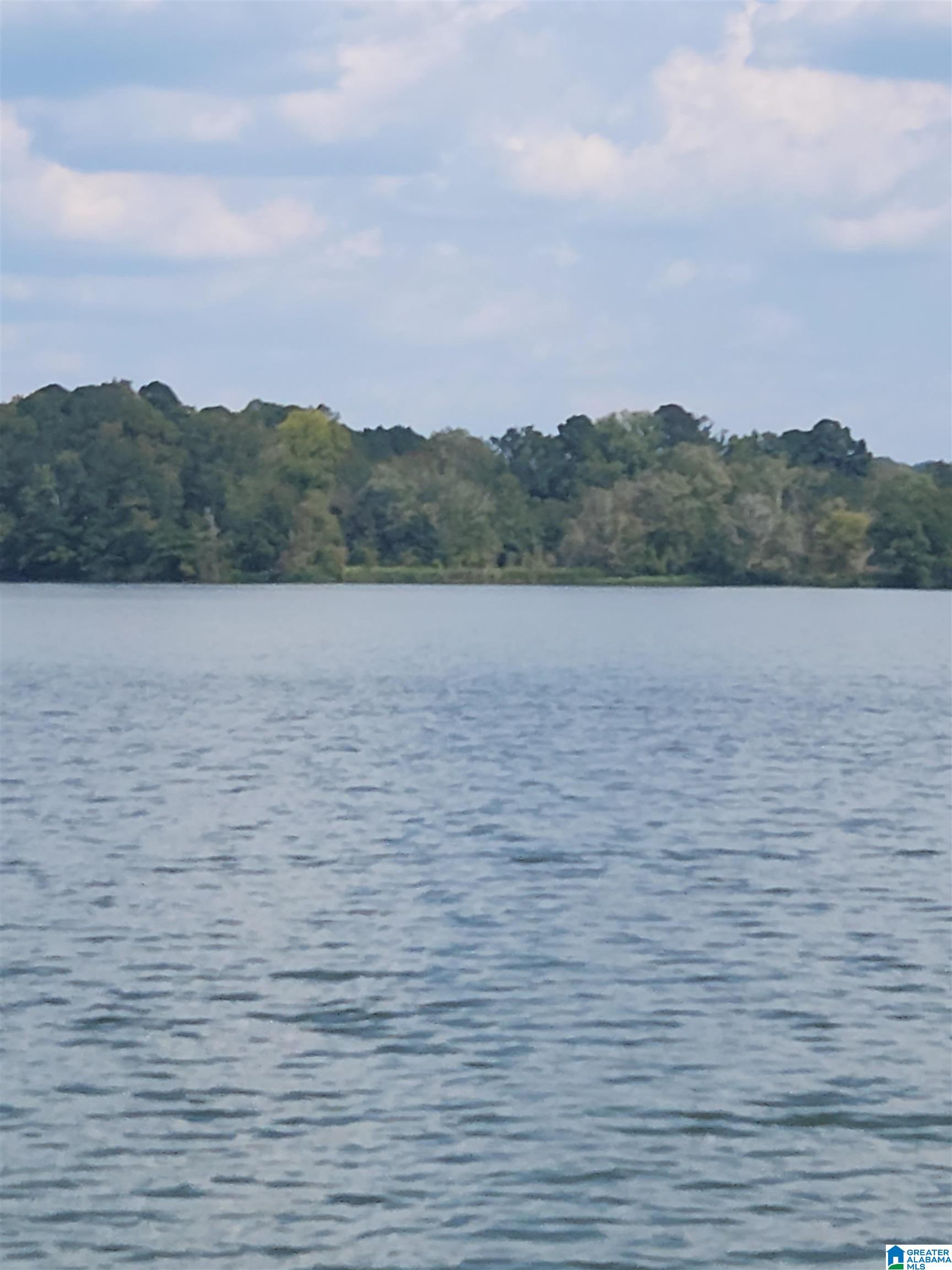 0 CHOCCOLOCCO CREEK ISLAND 1