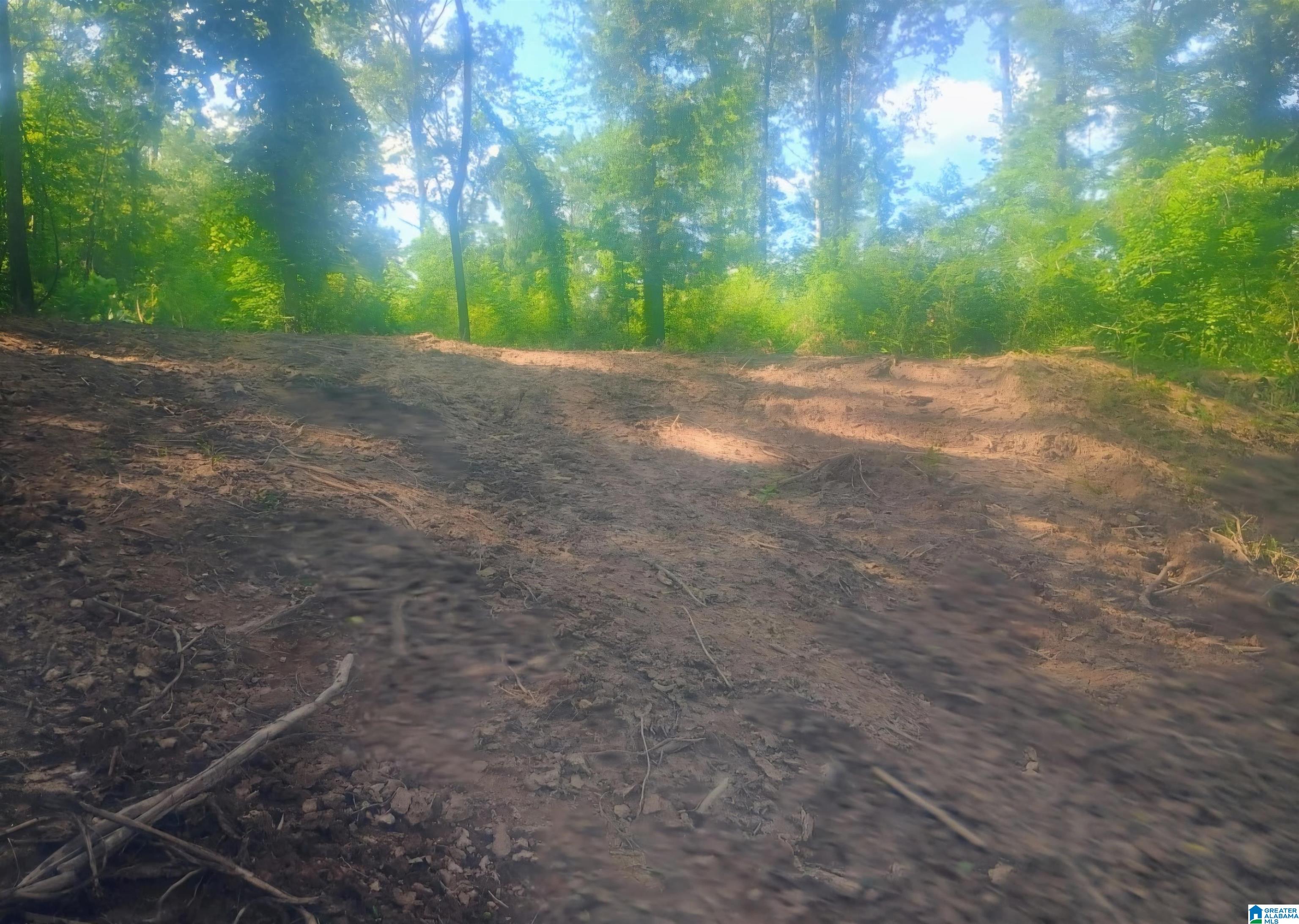 Photo 1 of 15 — 150 HARTS FERRY ROAD 150, OHATCHEE, AL 36271