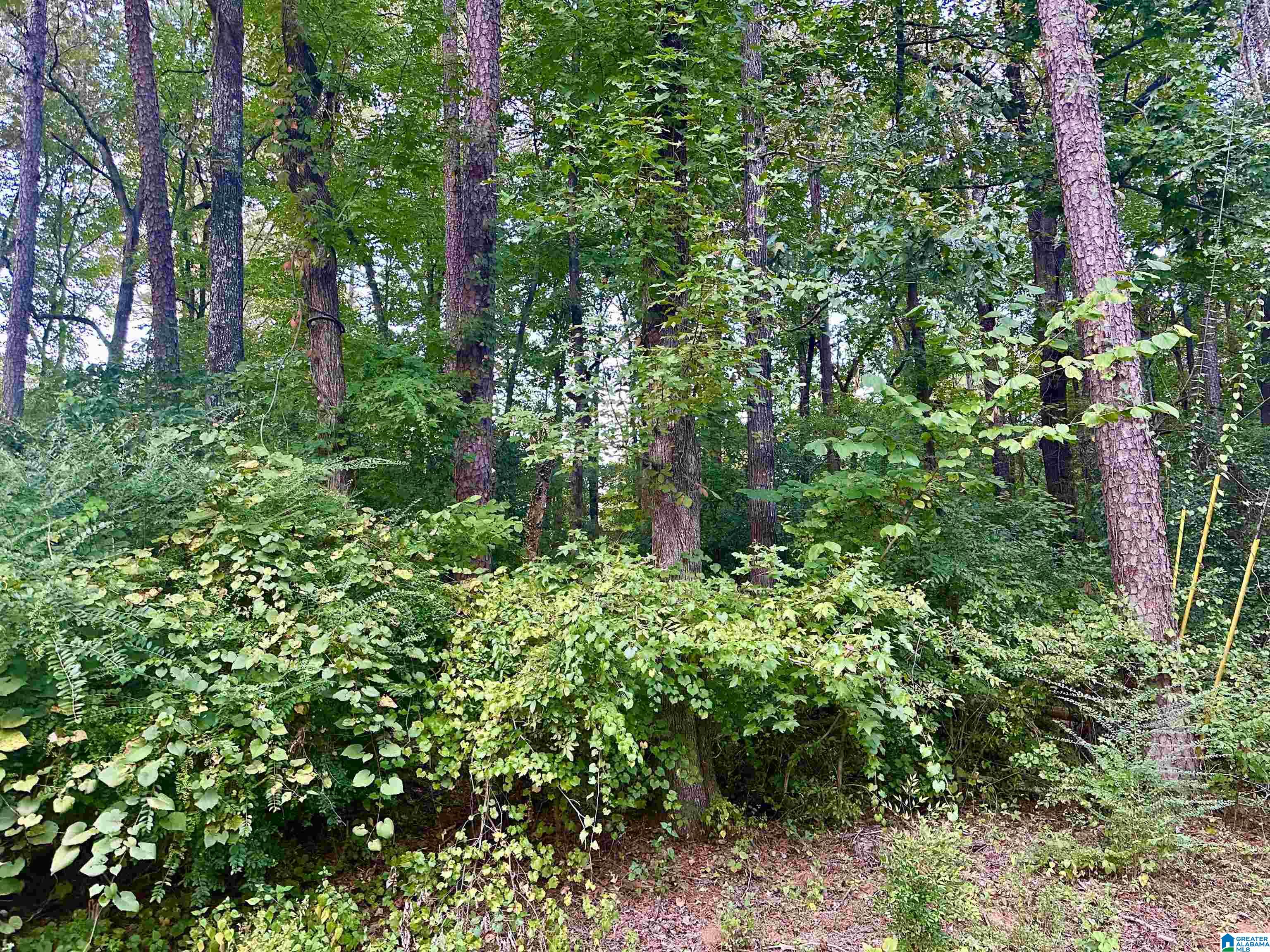 Photo 1 of 2 — 237 SAM PATE DRIVE 0, BIRMINGHAM, AL 35215