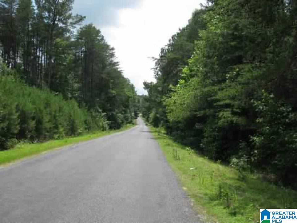 Photo 1 of 29 — 0 COUNTY ROAD 141 1, IDER, AL 35981