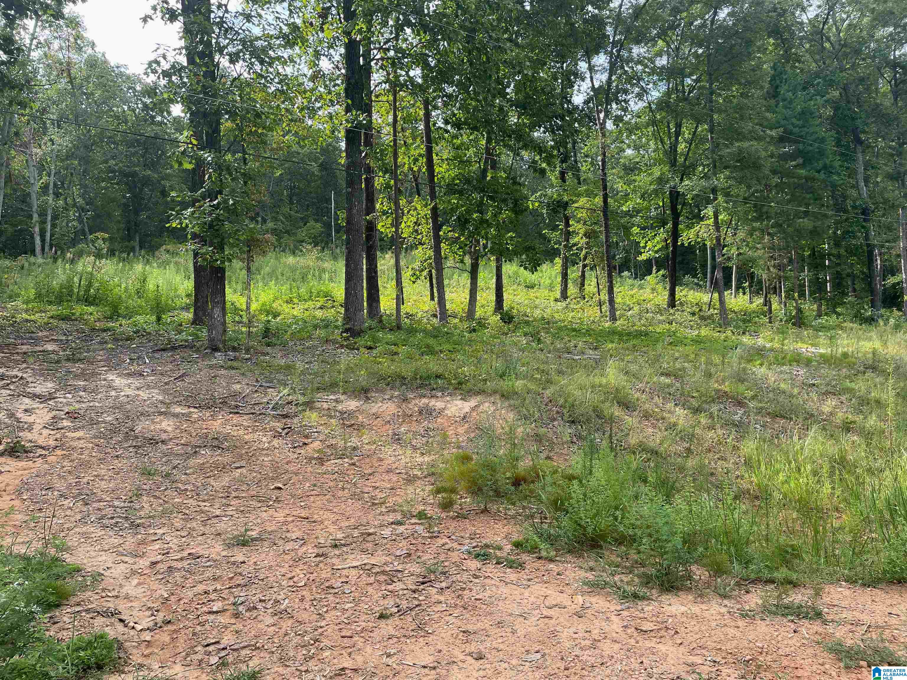 495 ANDERSON MTN DRIVE #24