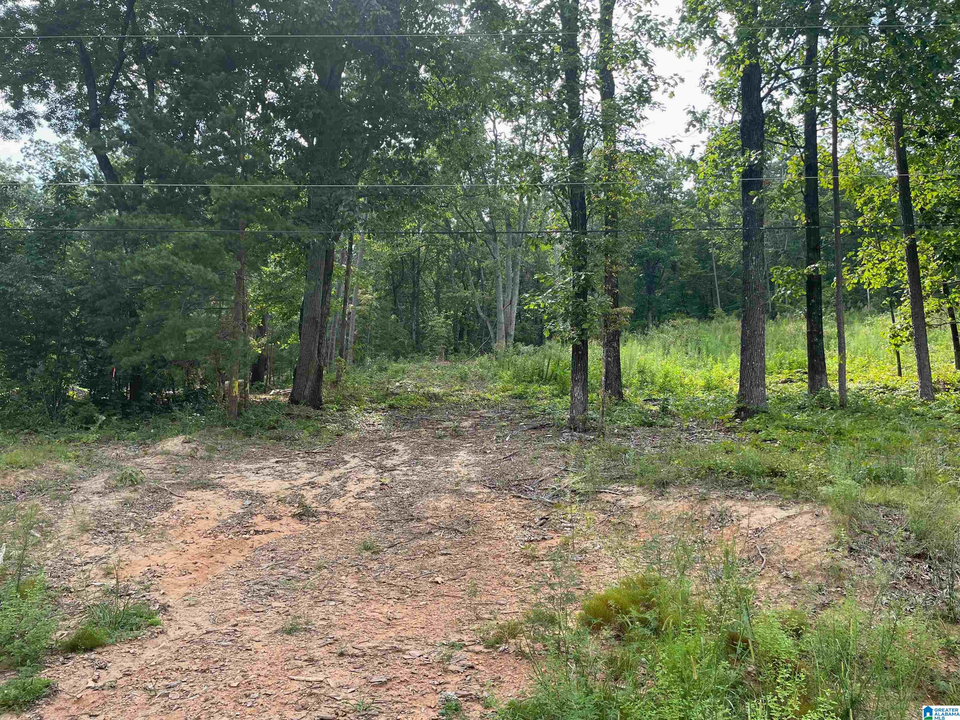 495 ANDERSON MTN DRIVE #24
