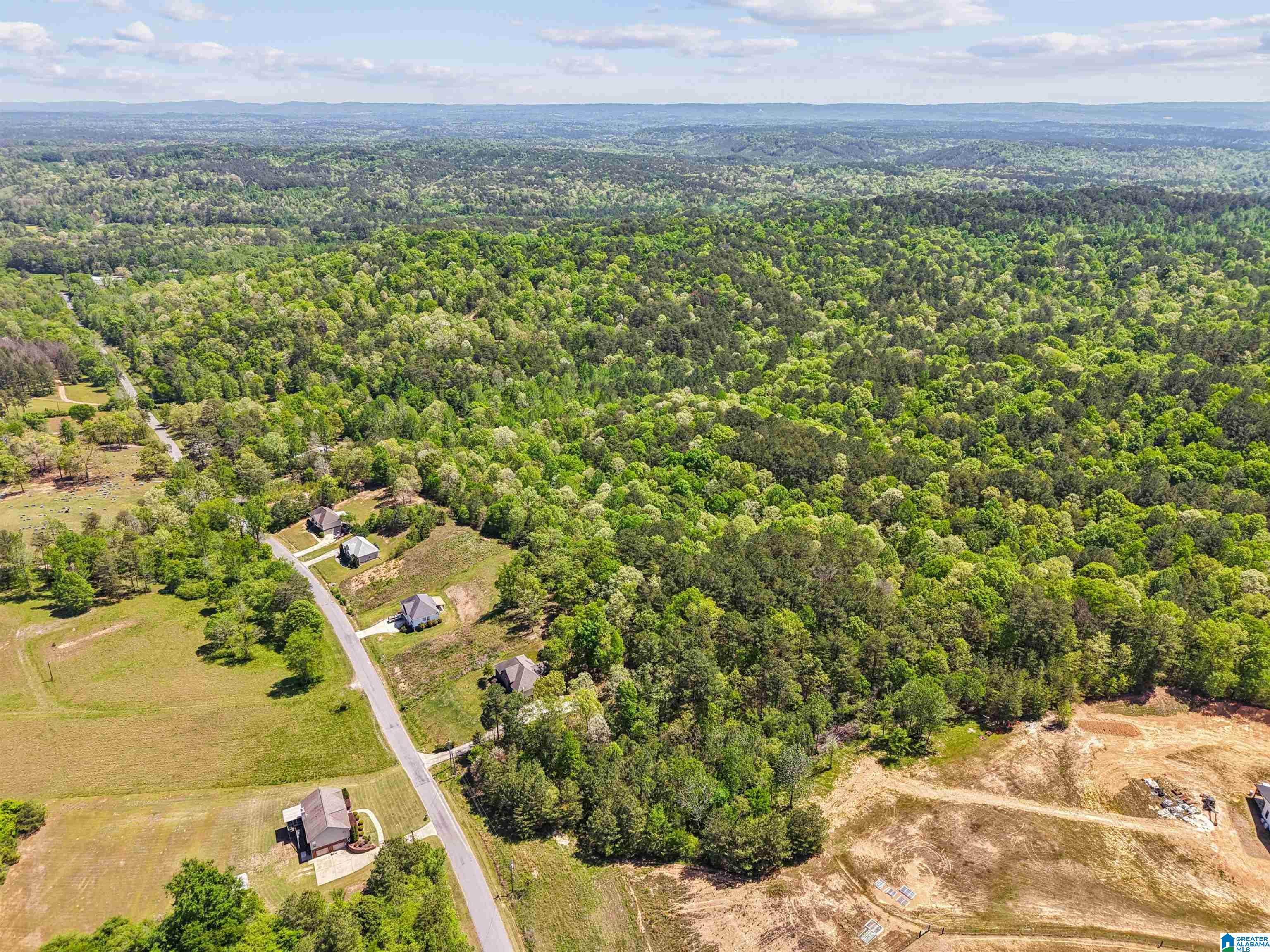 1678 HAYS CEMETERY ROAD 0