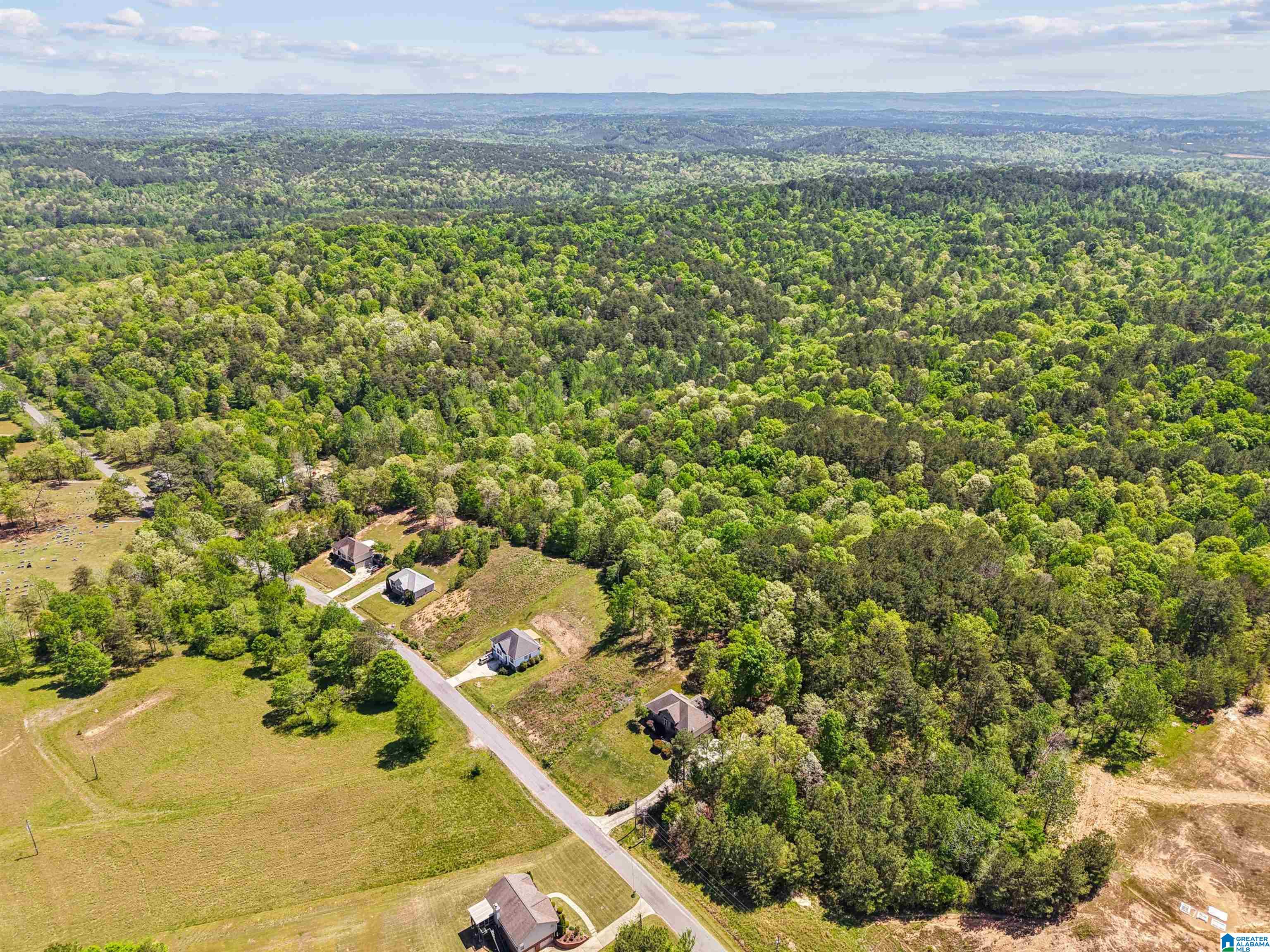 1678 HAYS CEMETERY ROAD 0