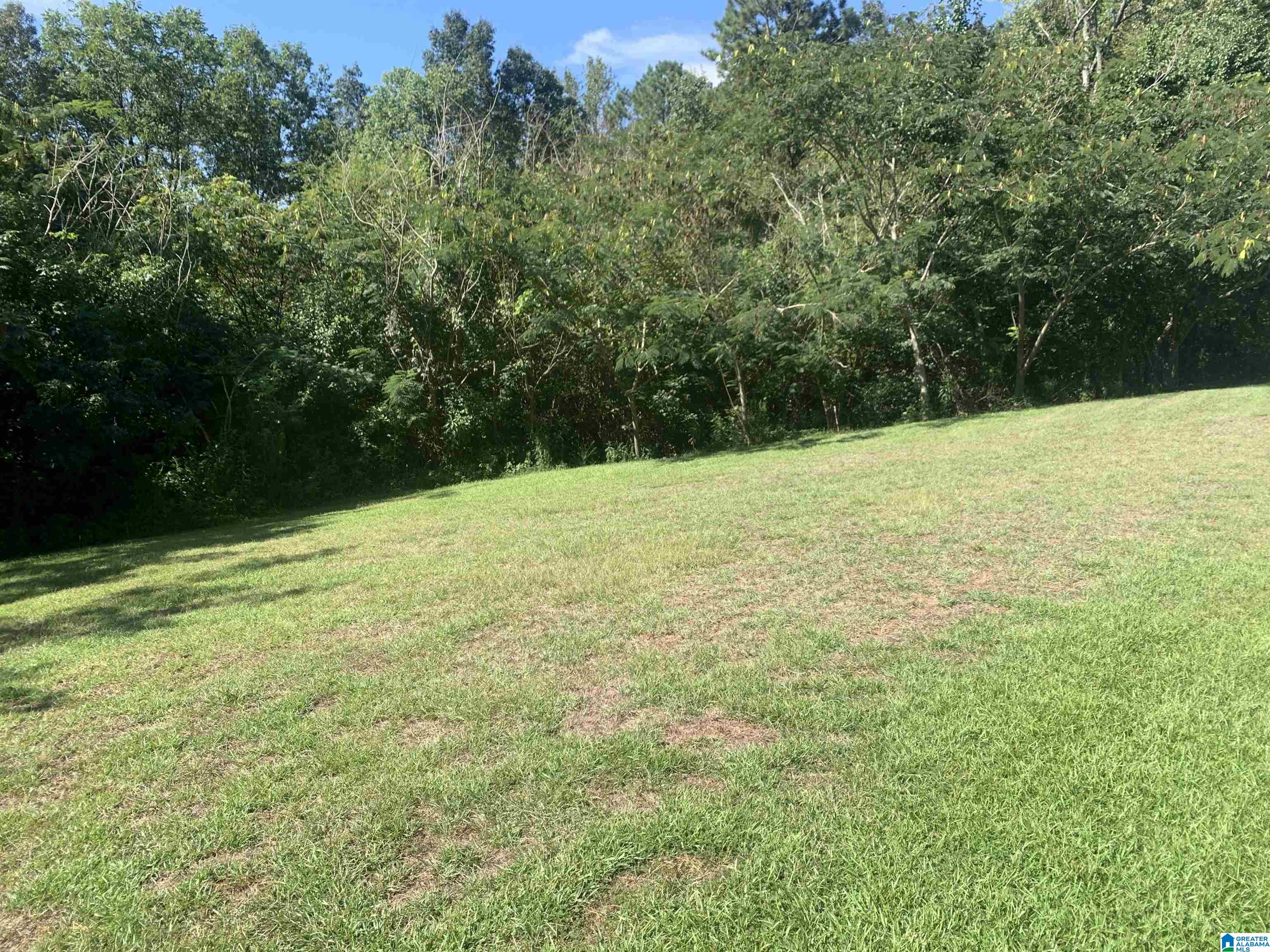 91 MOUNTAIN OAKS LANE
