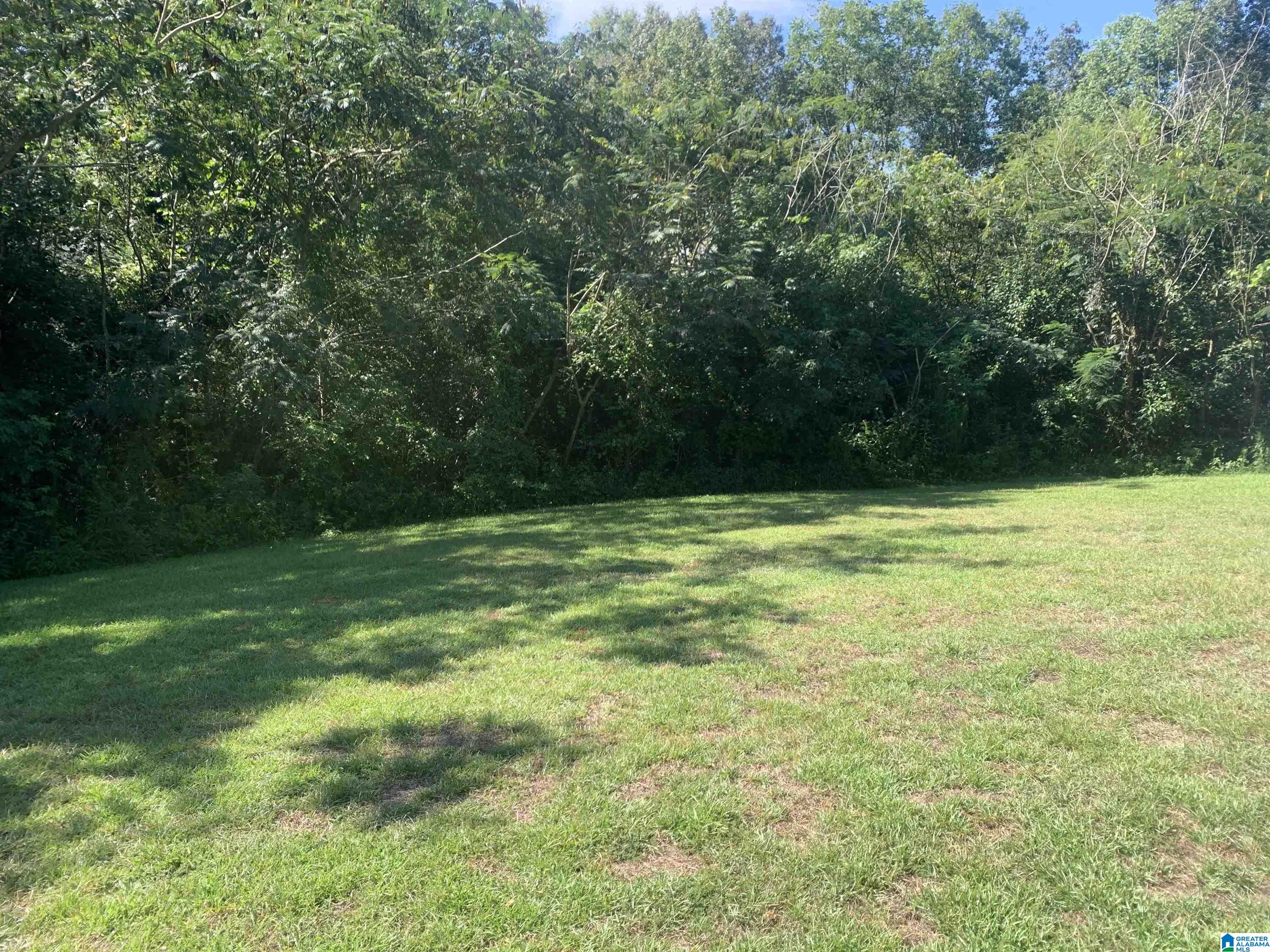 91 MOUNTAIN OAKS LANE