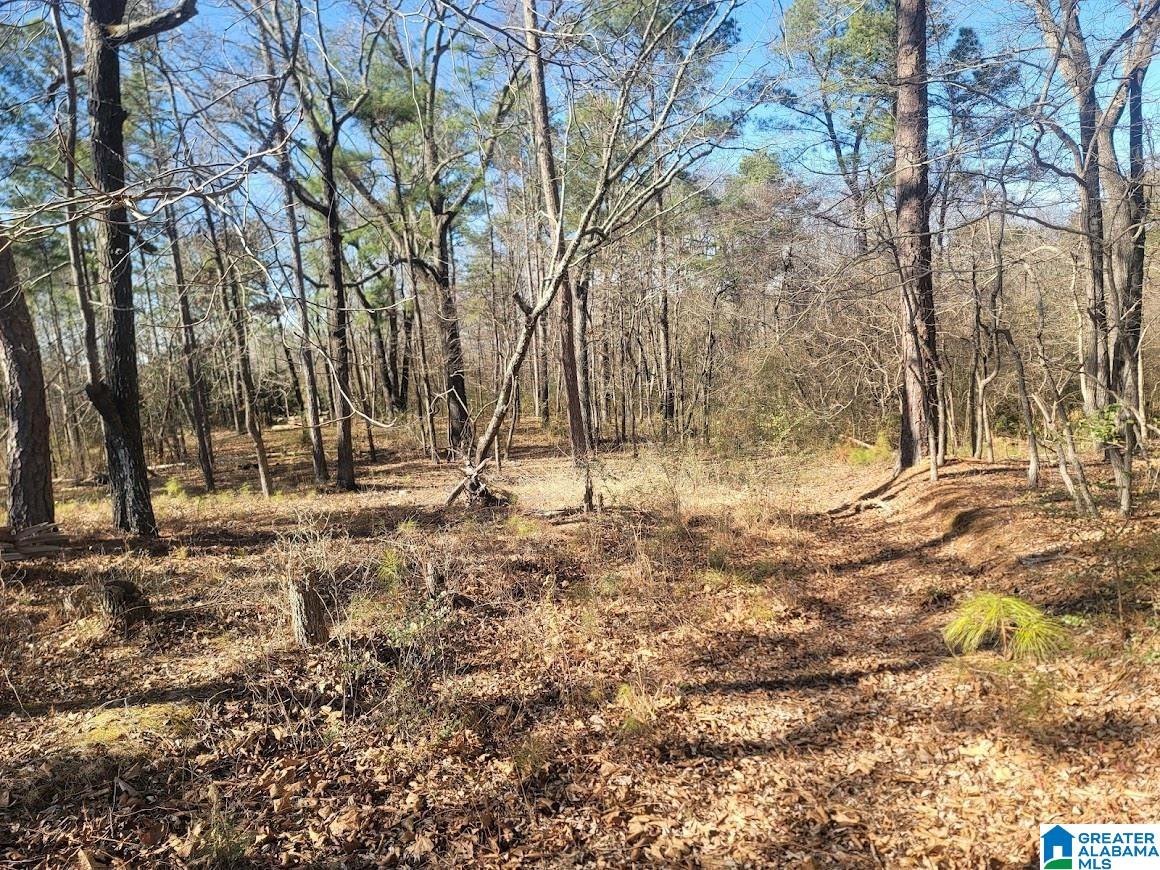 Photo 1 of 7 — 0 W LITTLEBRANDT DRIVE 0, ANNISTON, AL 36205