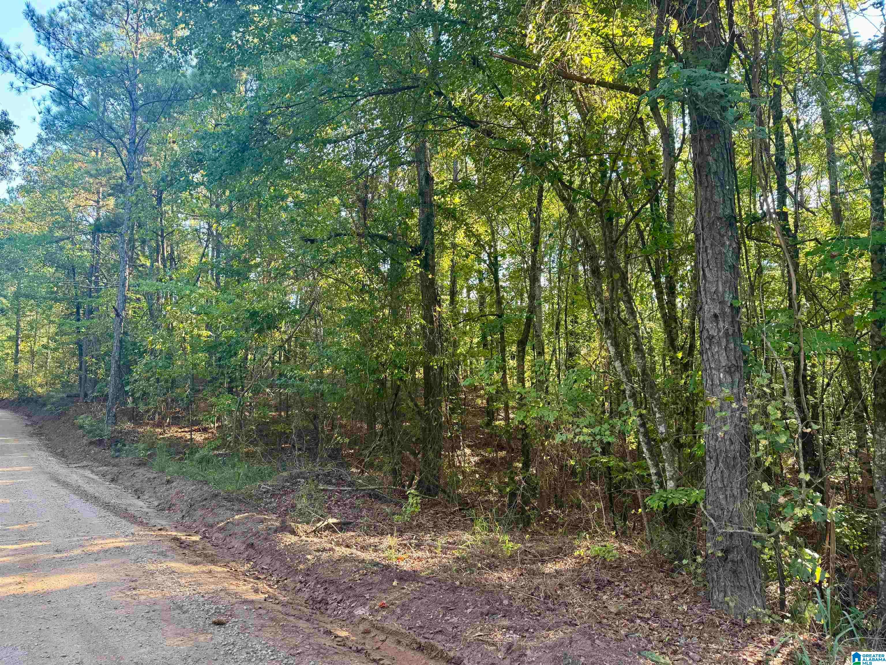LANE BRANCH ROAD 11.74 Acres