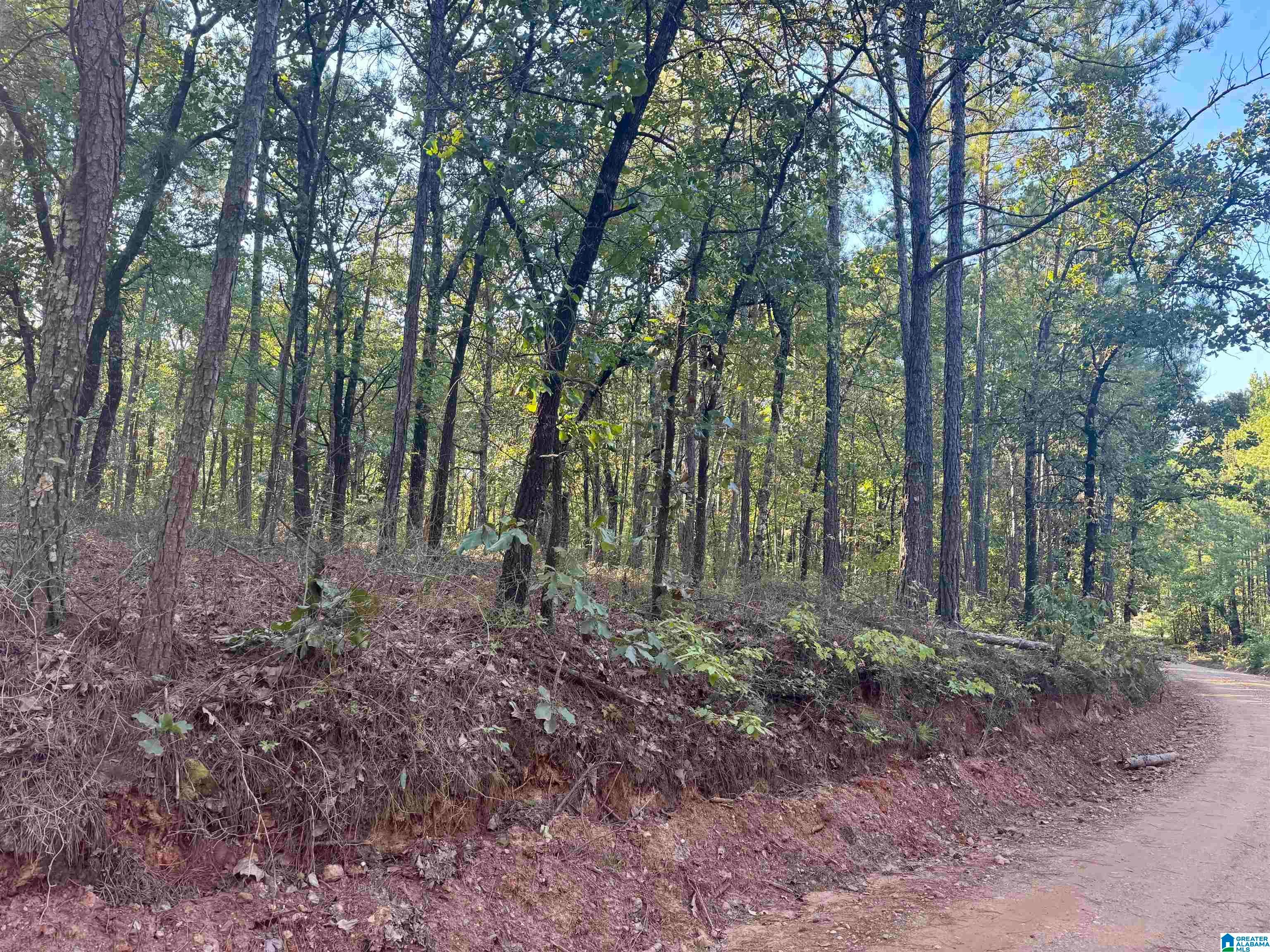 LANE BRANCH ROAD 11.74 Acres