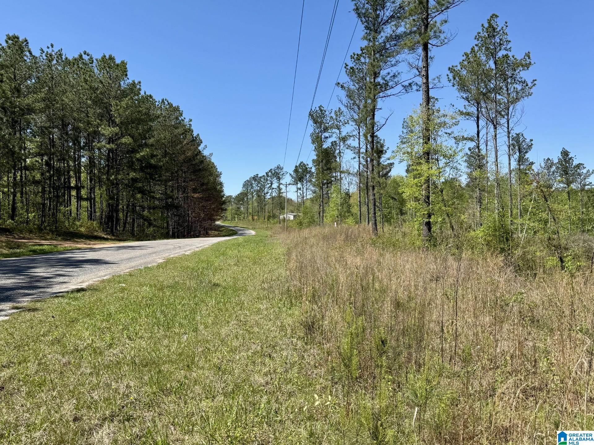 Tract 3 COUNTY ROAD 268 3