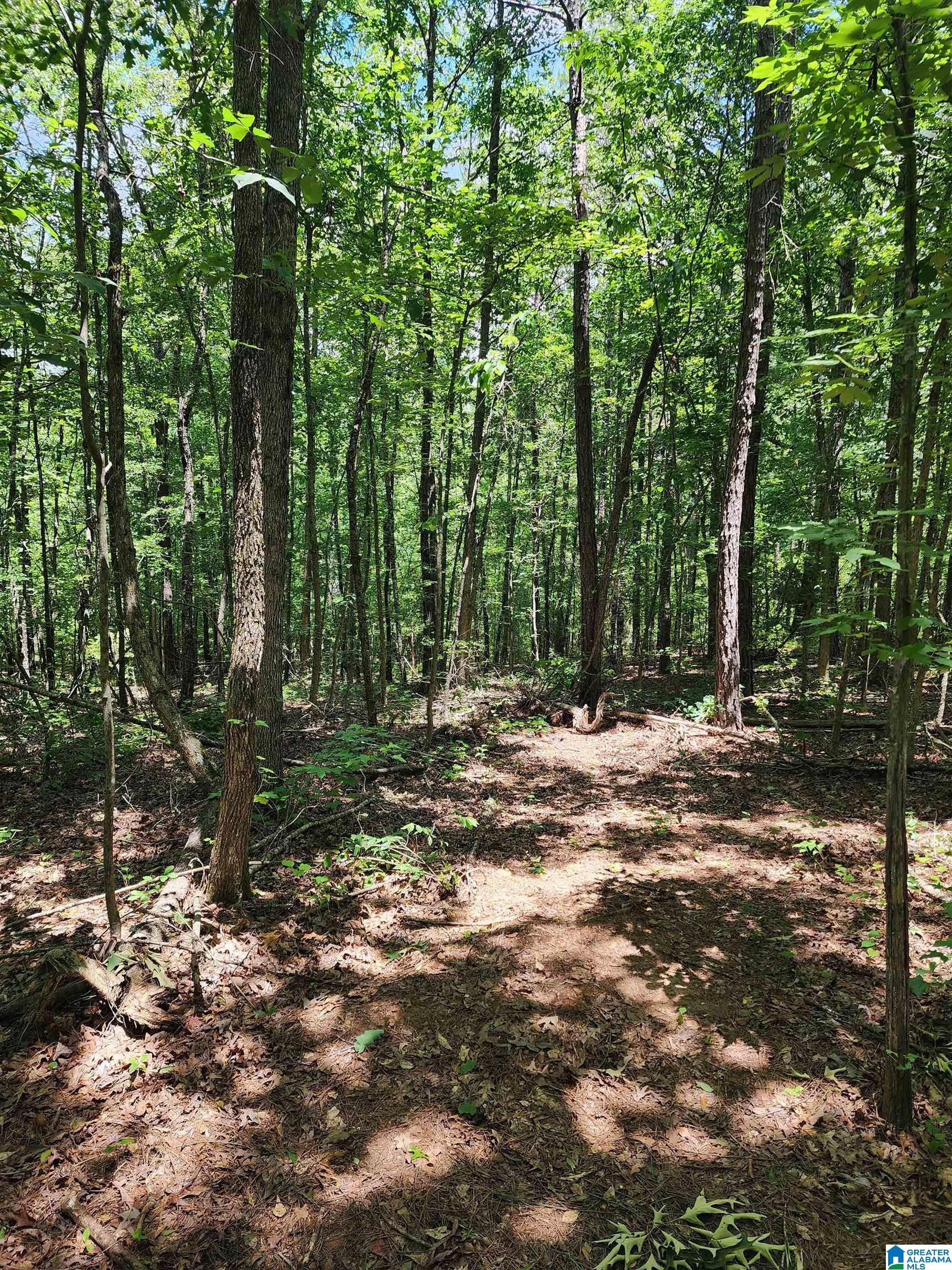 7218 COUNTY ROAD 26 10