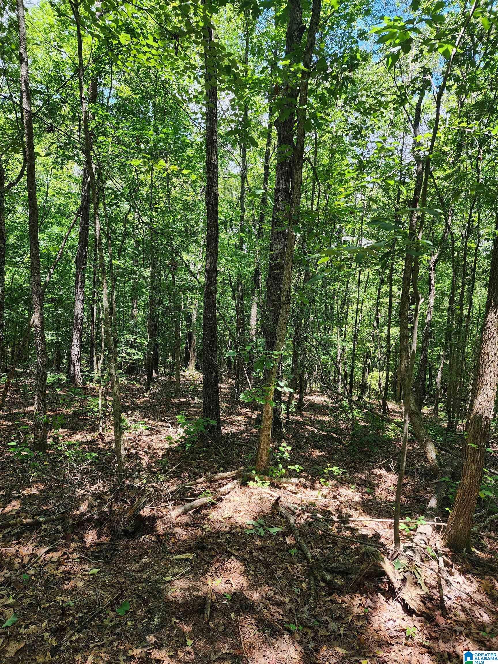 7218 COUNTY ROAD 26 10