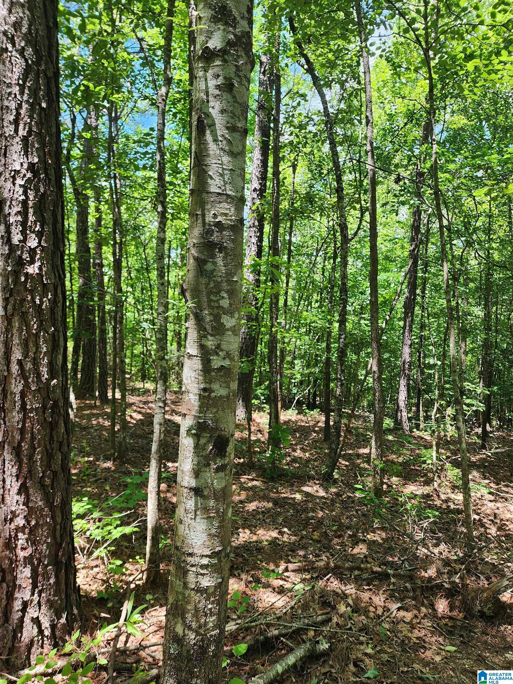 7218 COUNTY ROAD 26 10