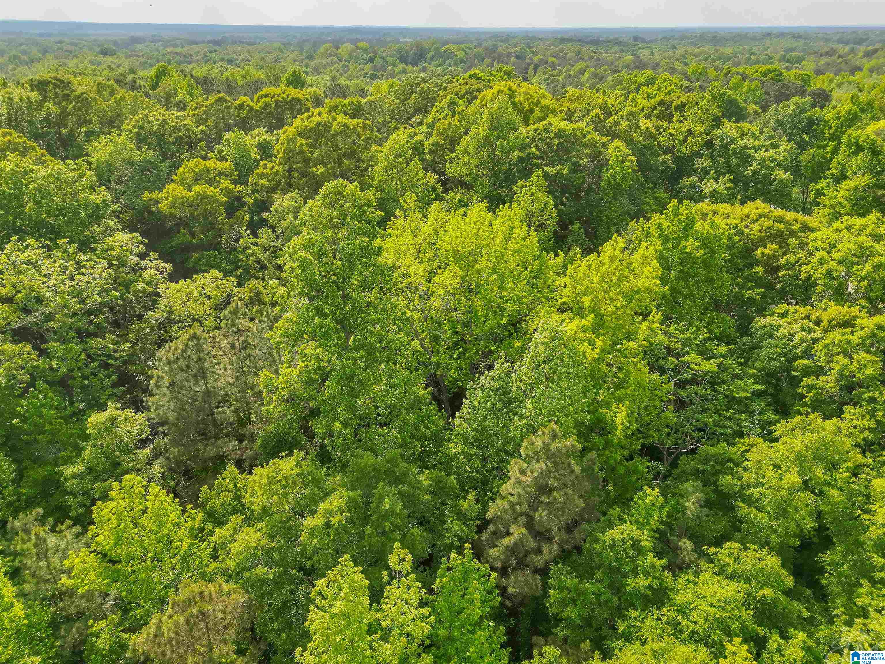 0 COUNTY ROAD 42 4 - Photo 4