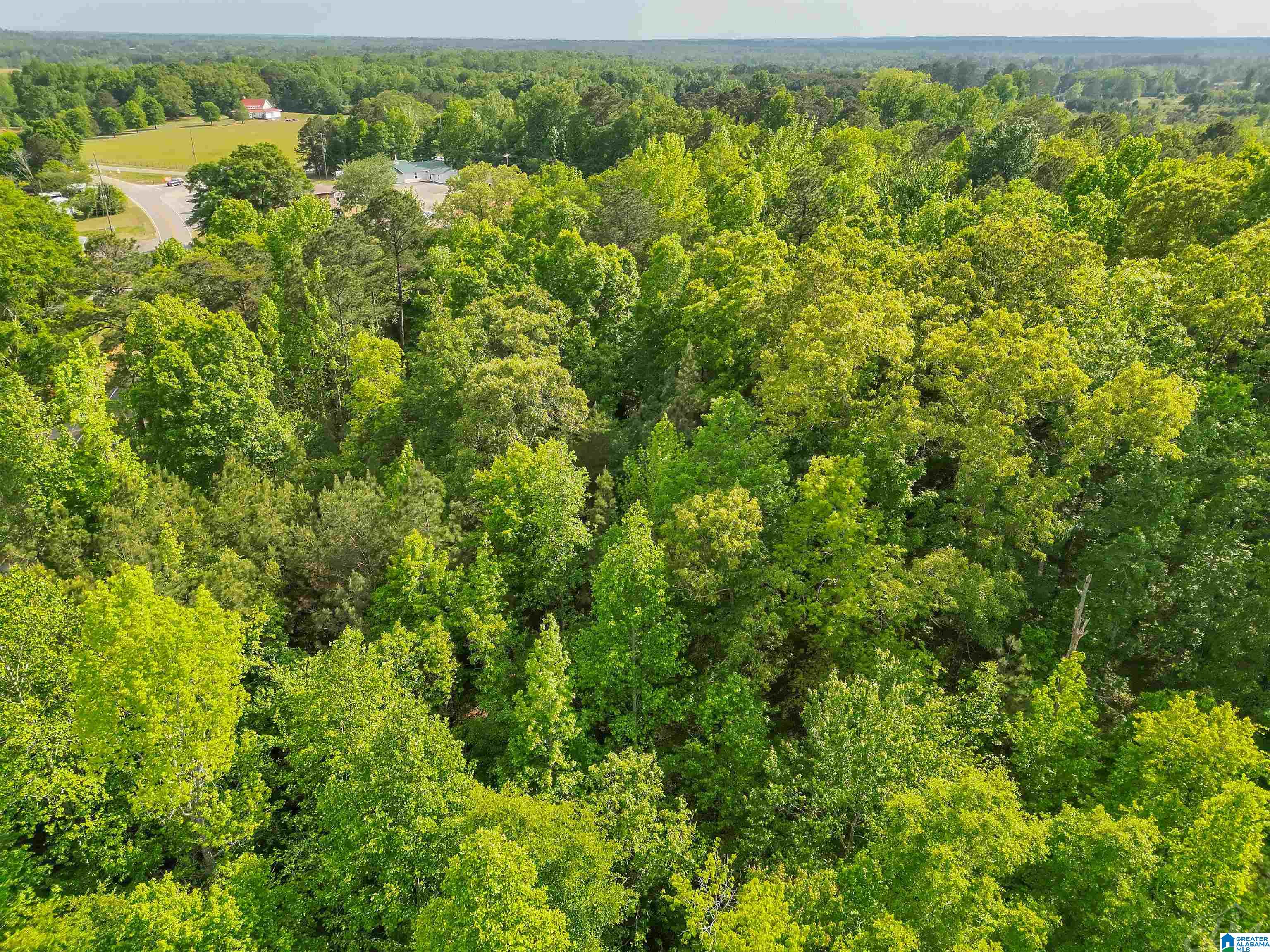 0 COUNTY ROAD 42 4 - Photo 3