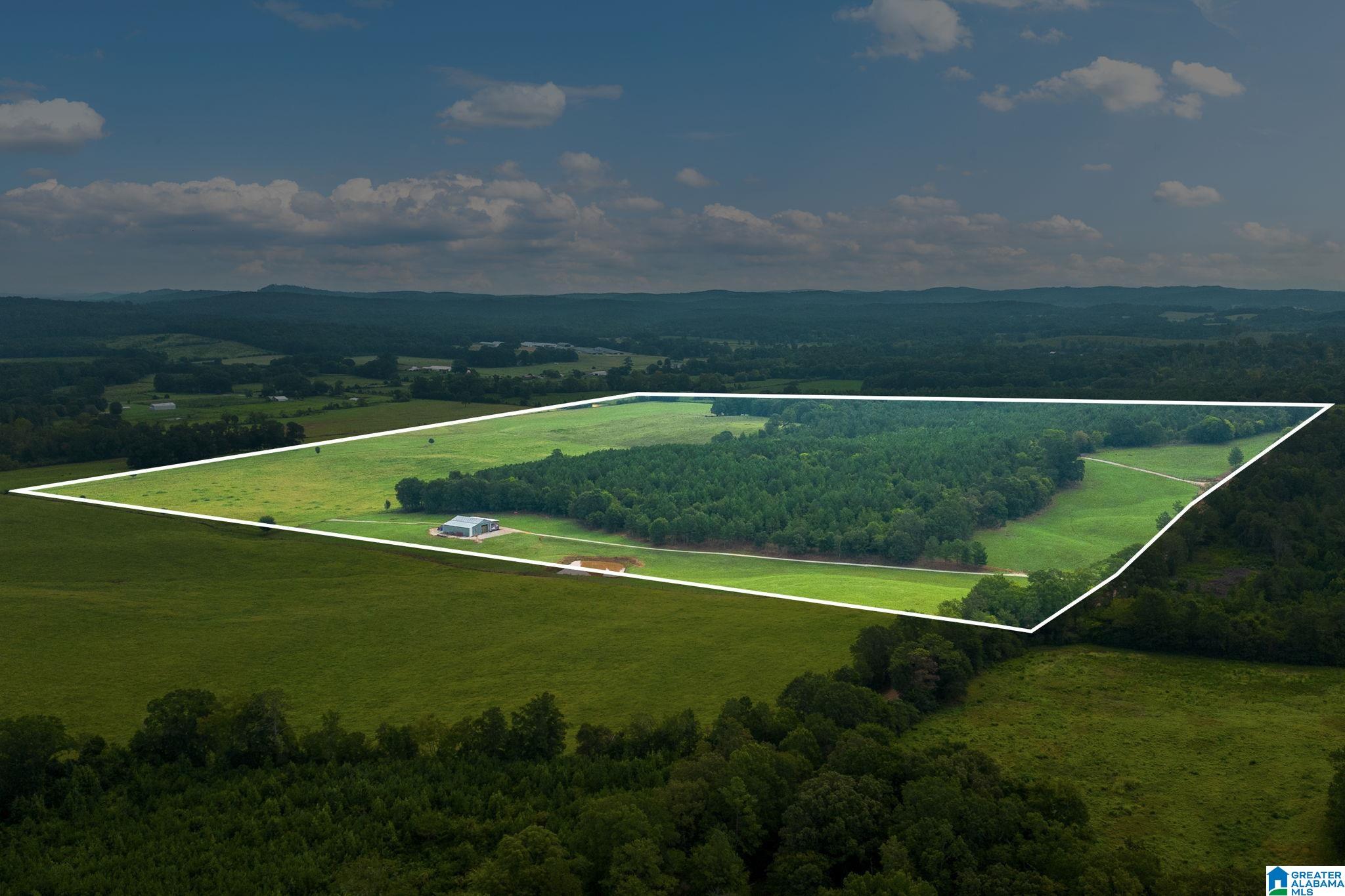 1015 SAINT MARY ROAD 0