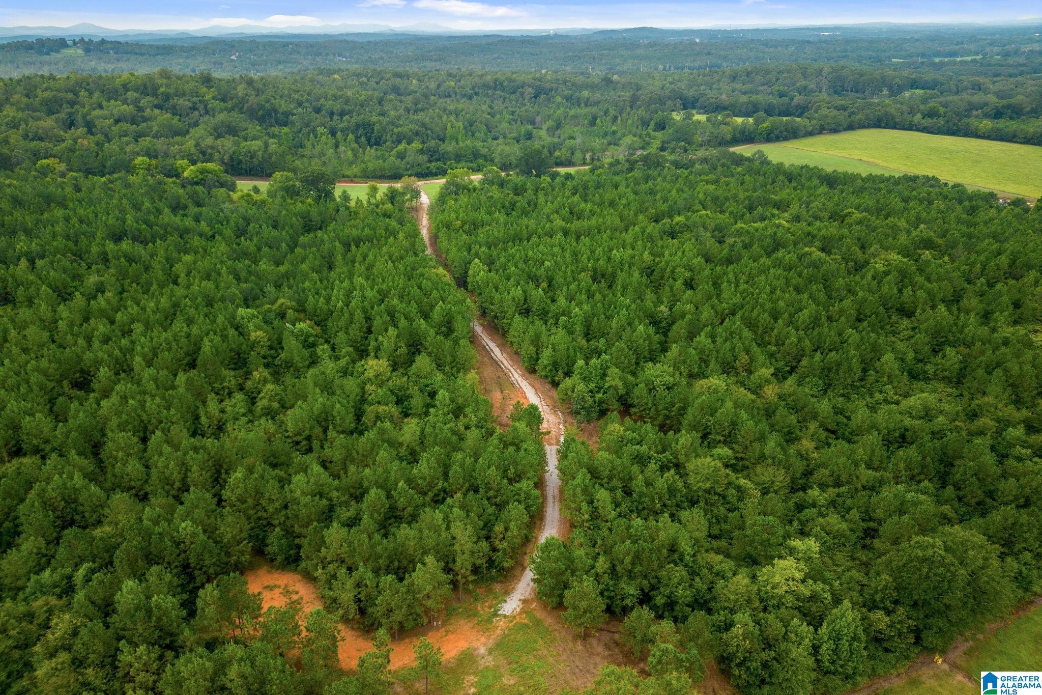 1015 SAINT MARY ROAD 0