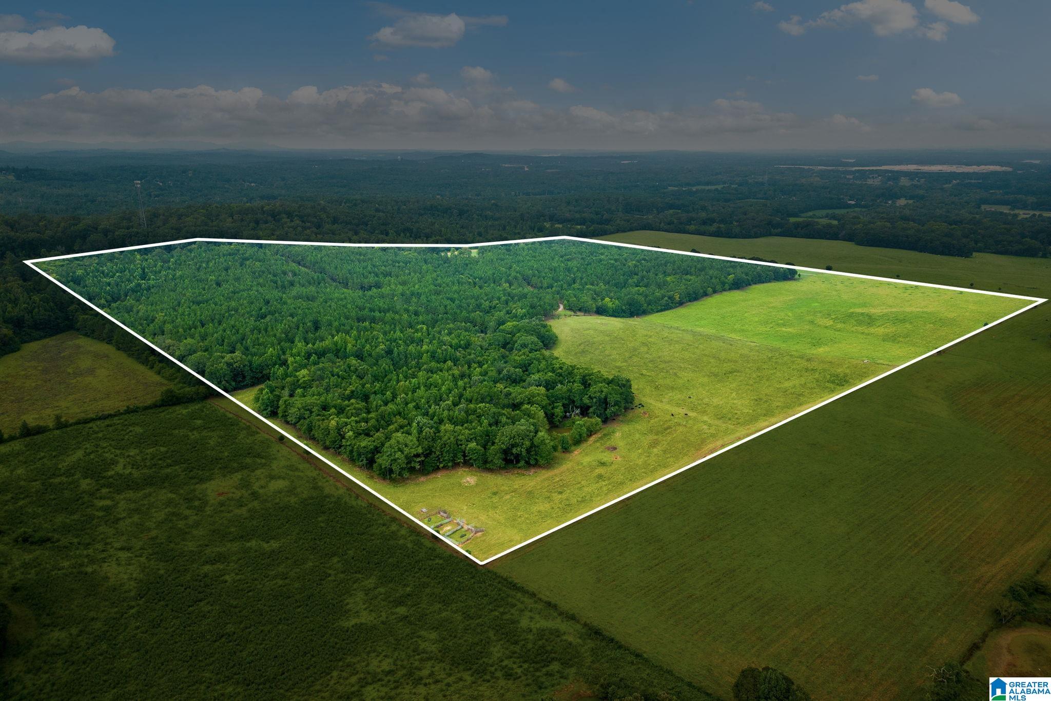 1015 SAINT MARY ROAD 0