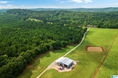 1015 SAINT MARY ROAD 0 LINCOLN AL 35096