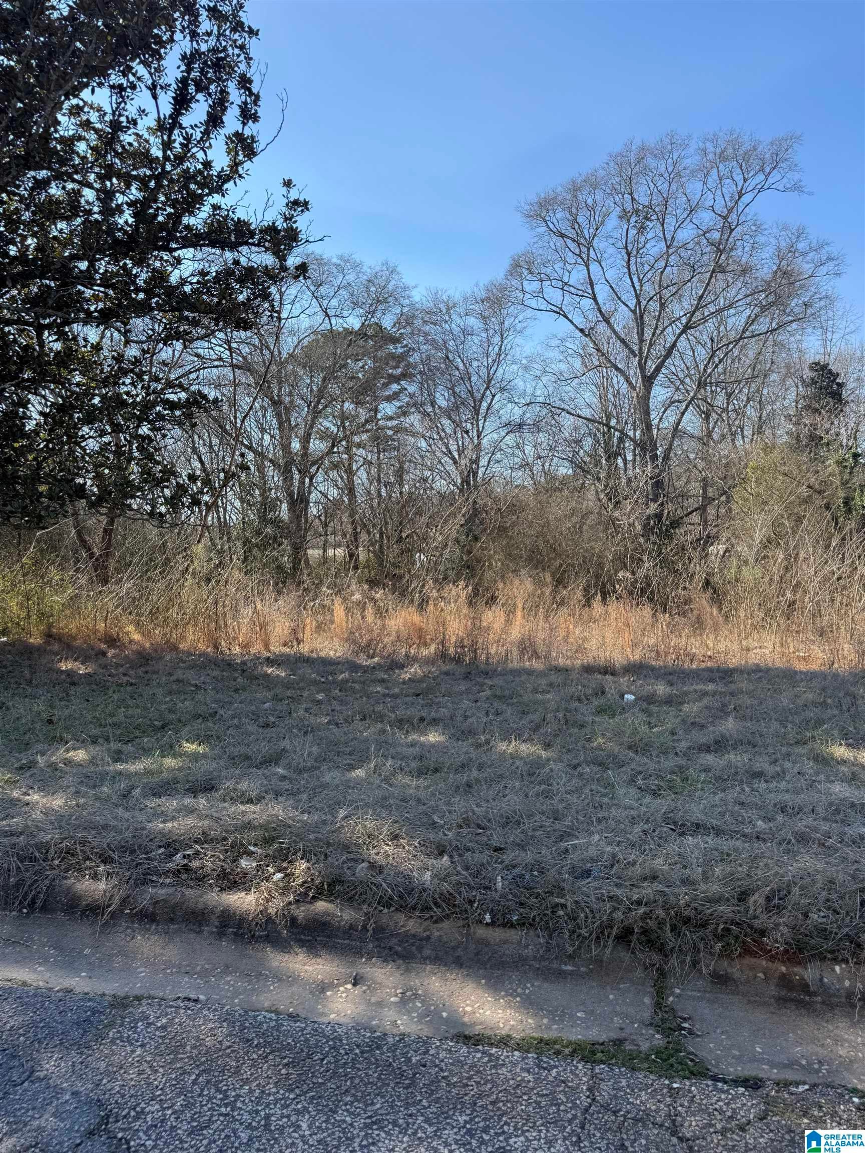Photo 1 of 6 — 625 WEST AVENUE 0, ROANOKE, AL 36274