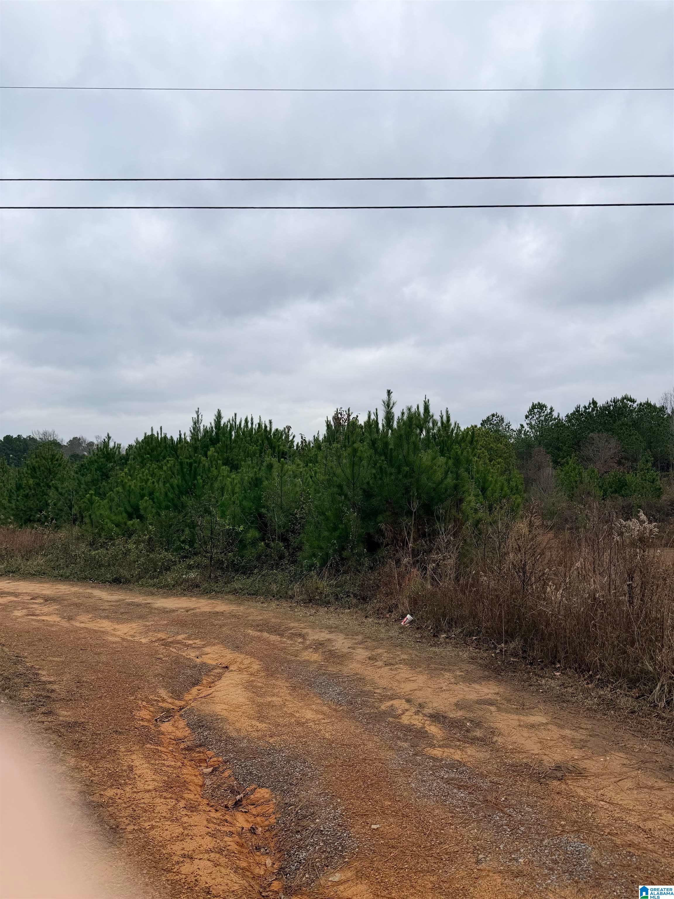 Photo 1 of 3 — LAZY Y ROAD 0, HAYDEN, AL 35079