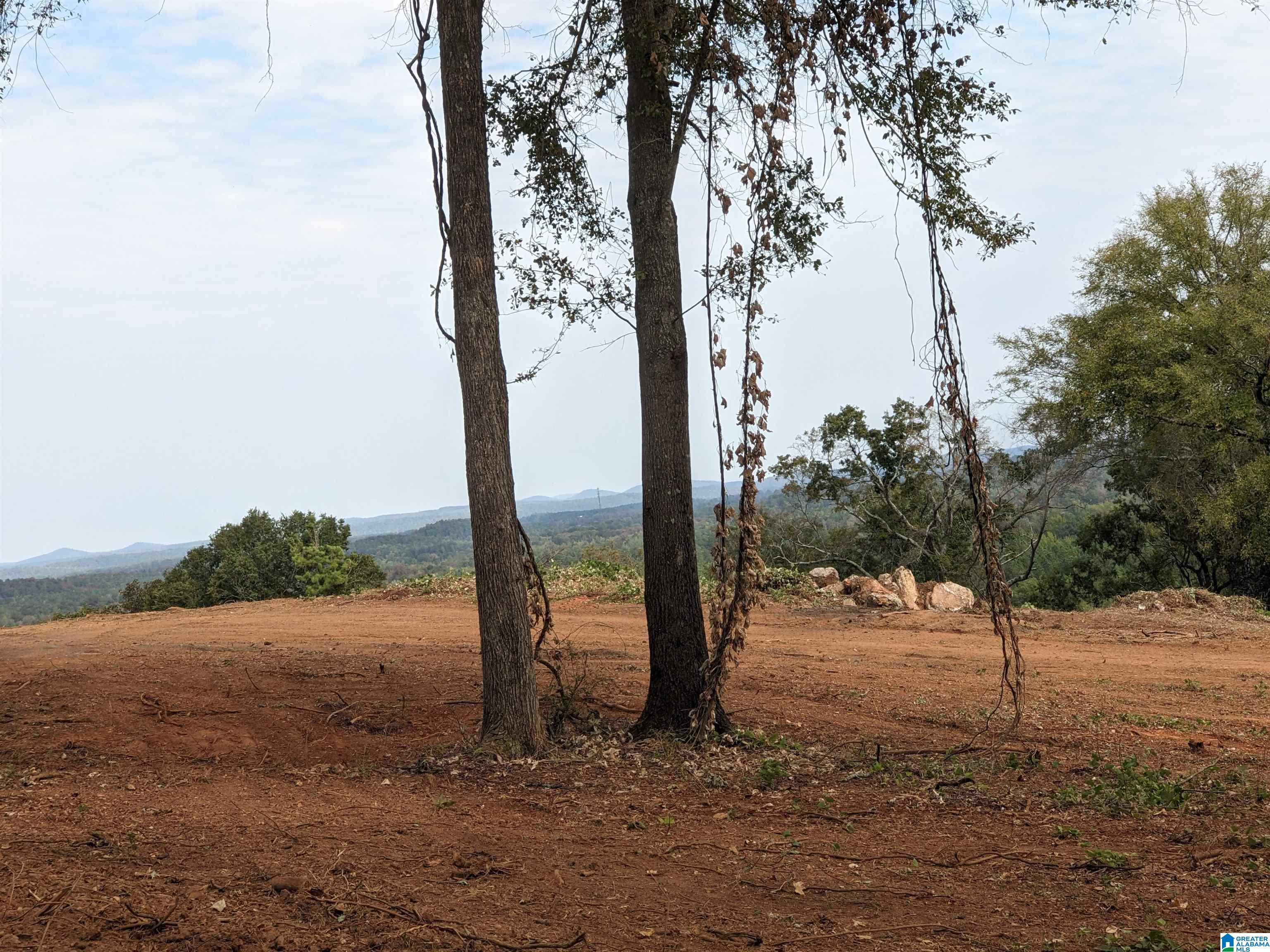 16091 JACKSON TRACE ROAD 0