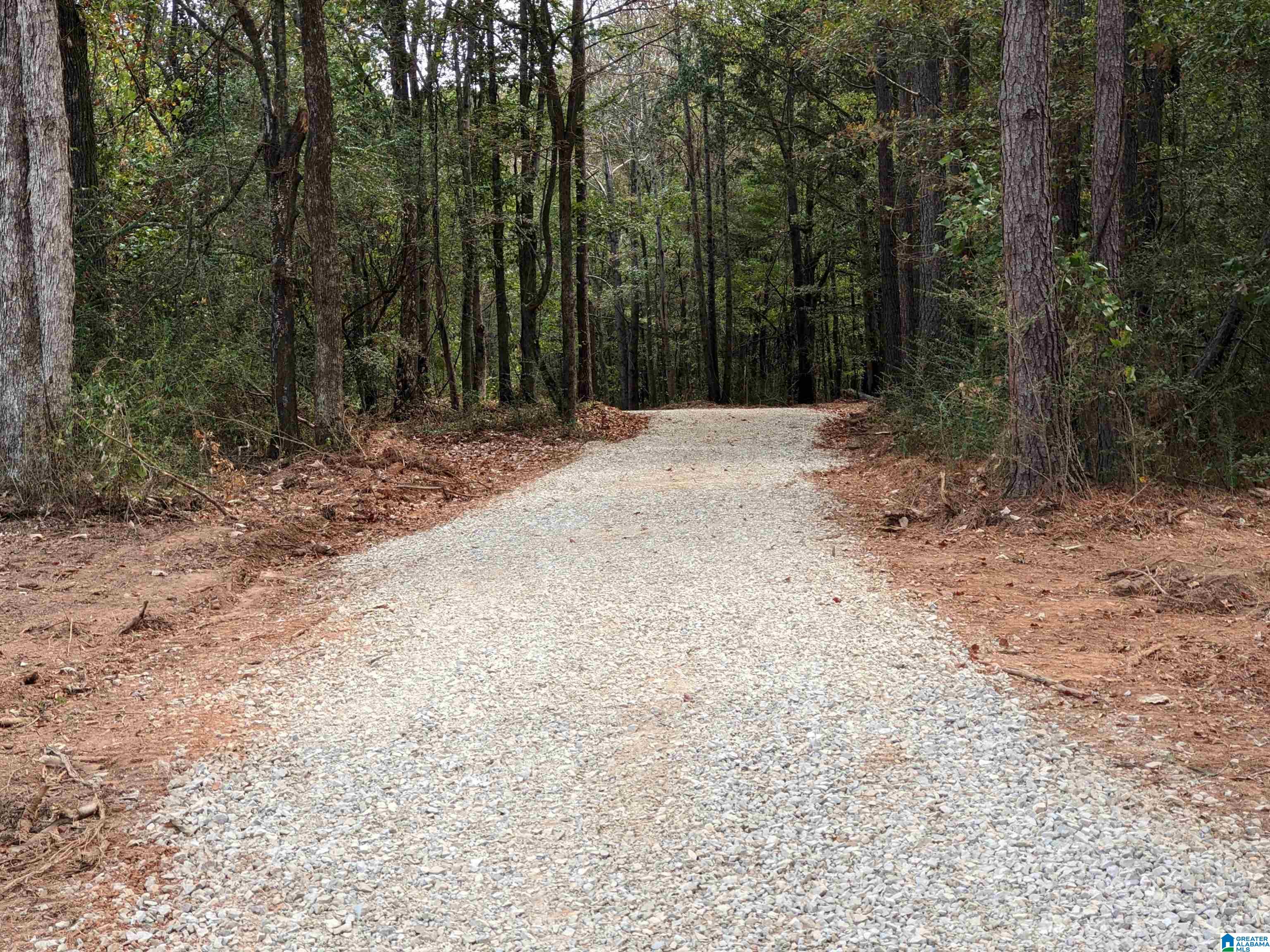 16091 JACKSON TRACE ROAD 0